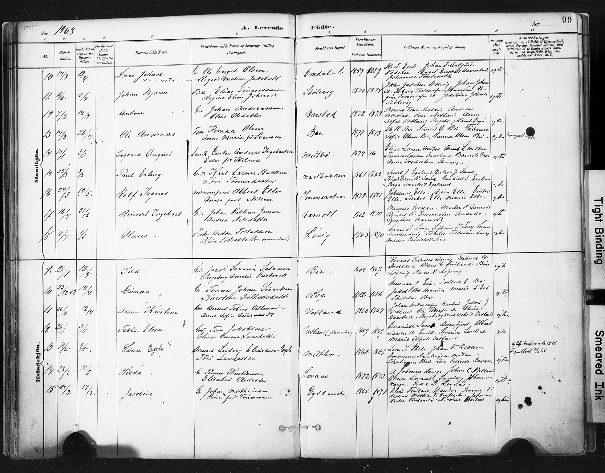 Sokndal sokneprestkontor, AV/SAST-A-101808: Parish register (official) no. A 11.1, 1887-1905, p. 99