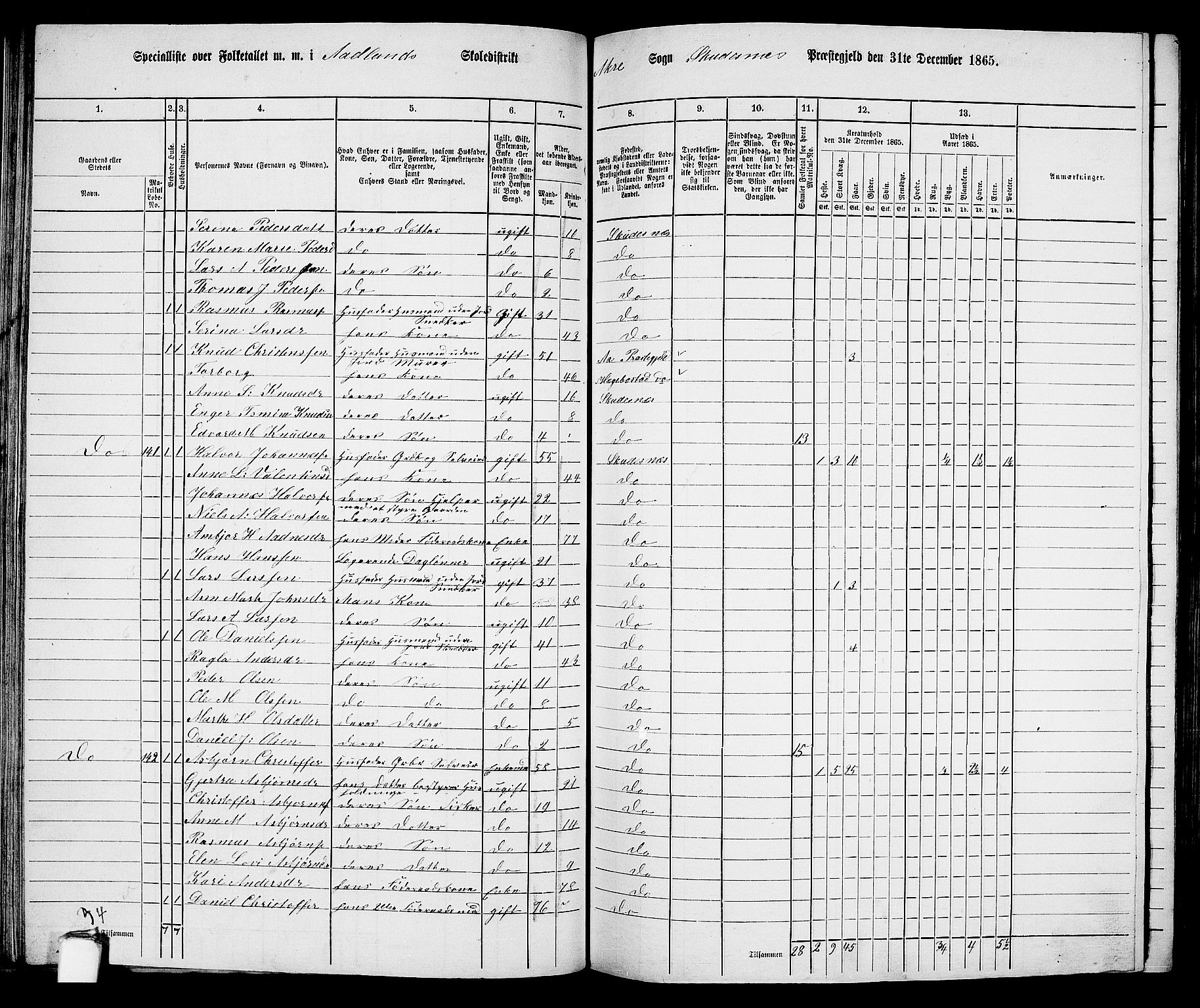 RA, 1865 census for Skudenes, 1865, p. 78