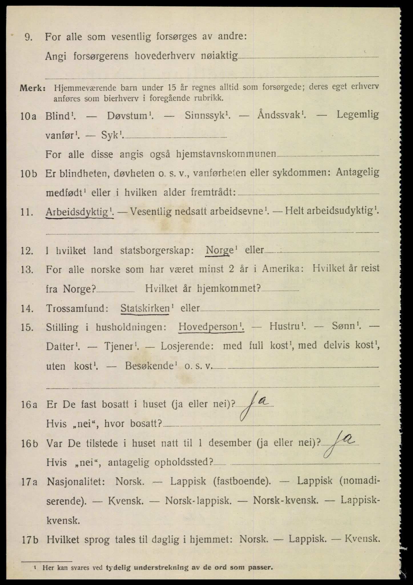 SAT, 1920 census for Steigen, 1920, p. 4105