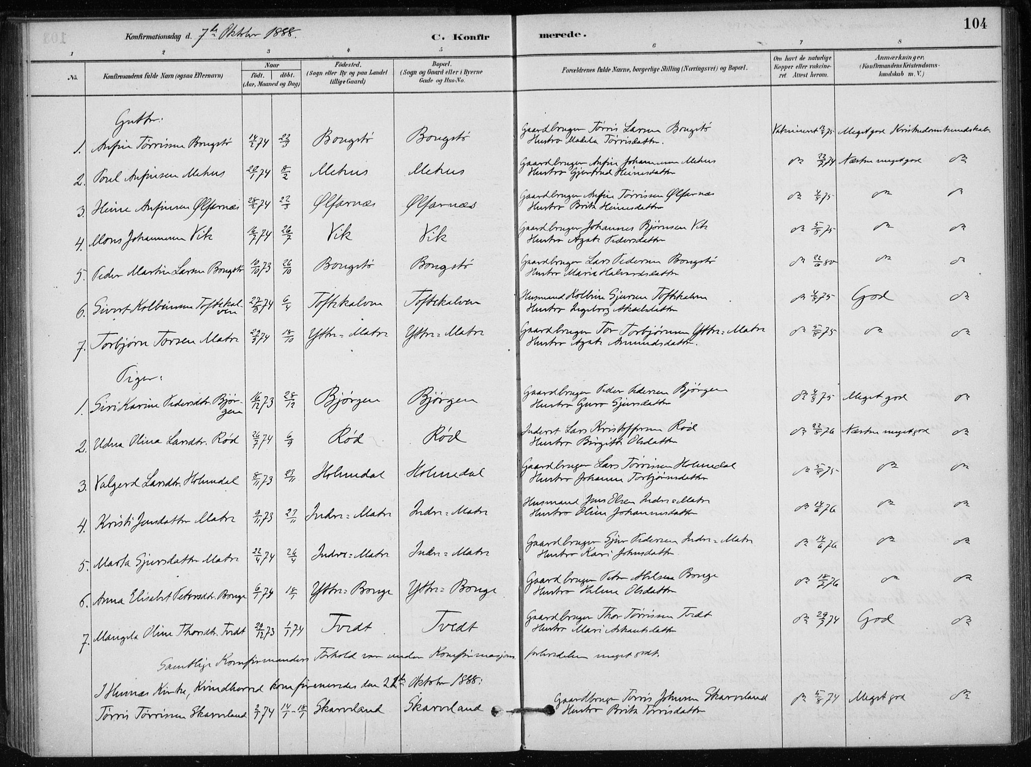 Skånevik sokneprestembete, SAB/A-77801/H/Haa: Parish register (official) no. C  1, 1879-1917, p. 104