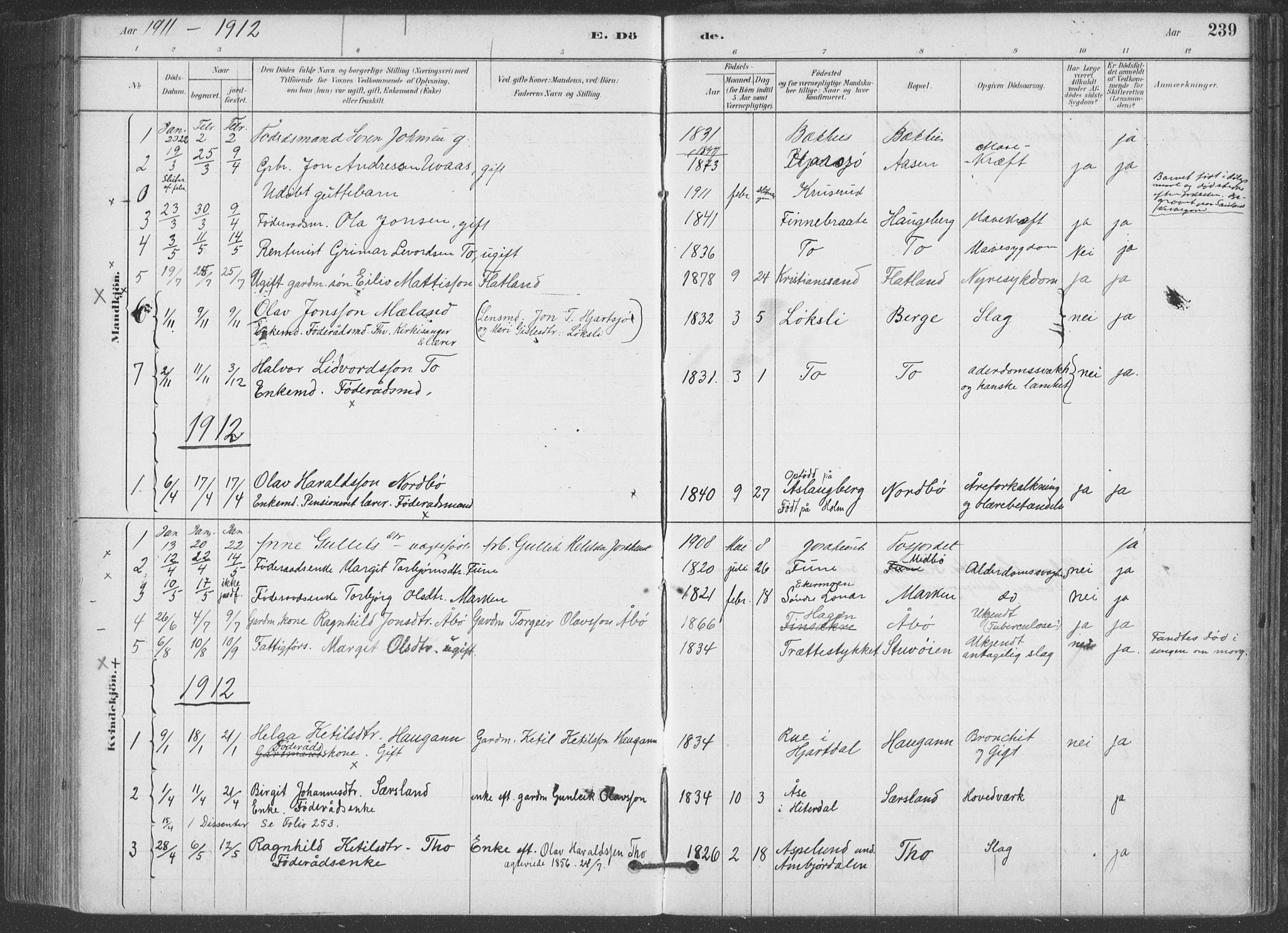 Hjartdal kirkebøker, SAKO/A-270/F/Fa/L0010: Parish register (official) no. I 10, 1880-1929, p. 239