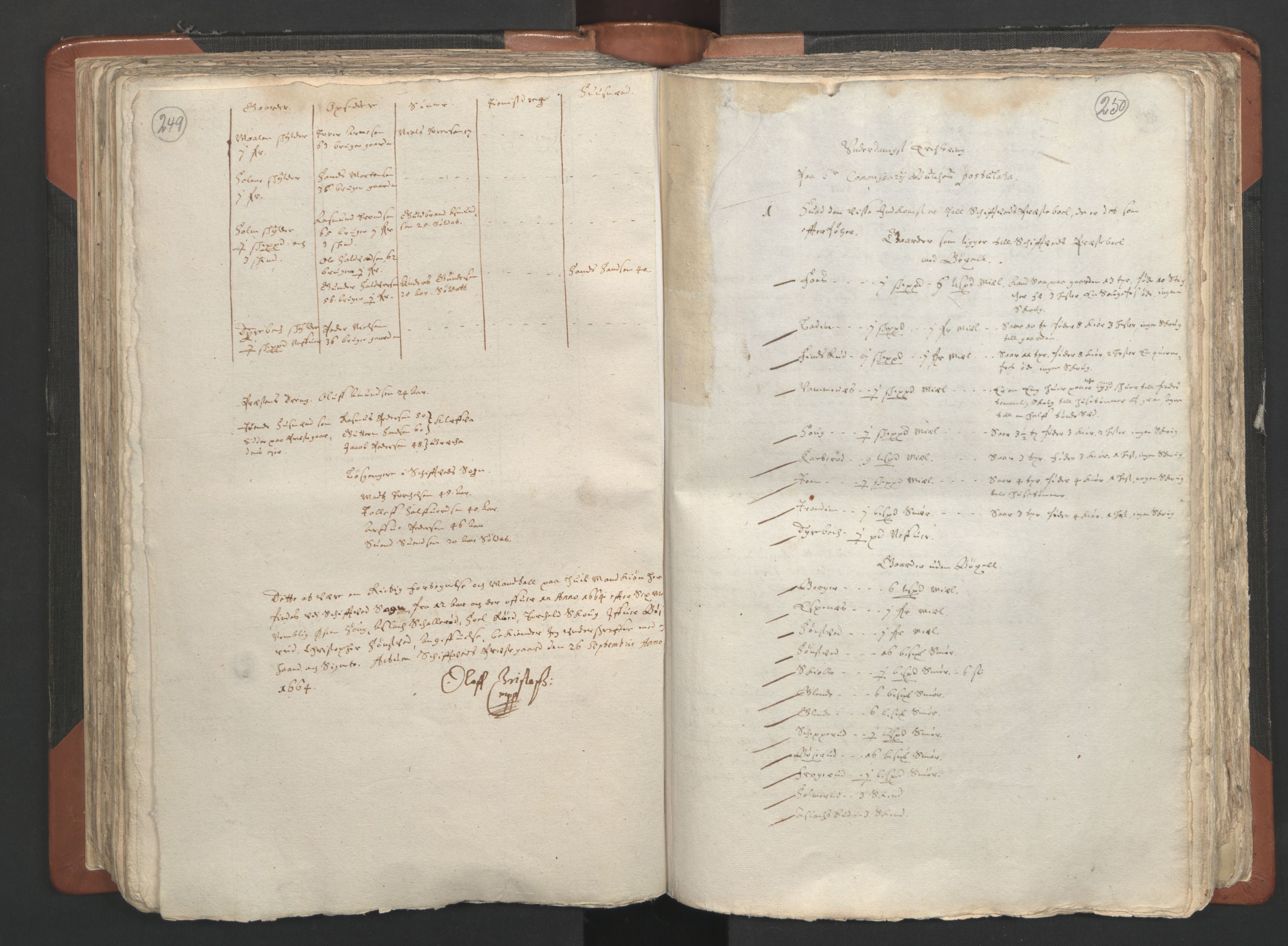 RA, Vicar's Census 1664-1666, no. 2: Øvre Borgesyssel deanery, 1664-1666, p. 249-250