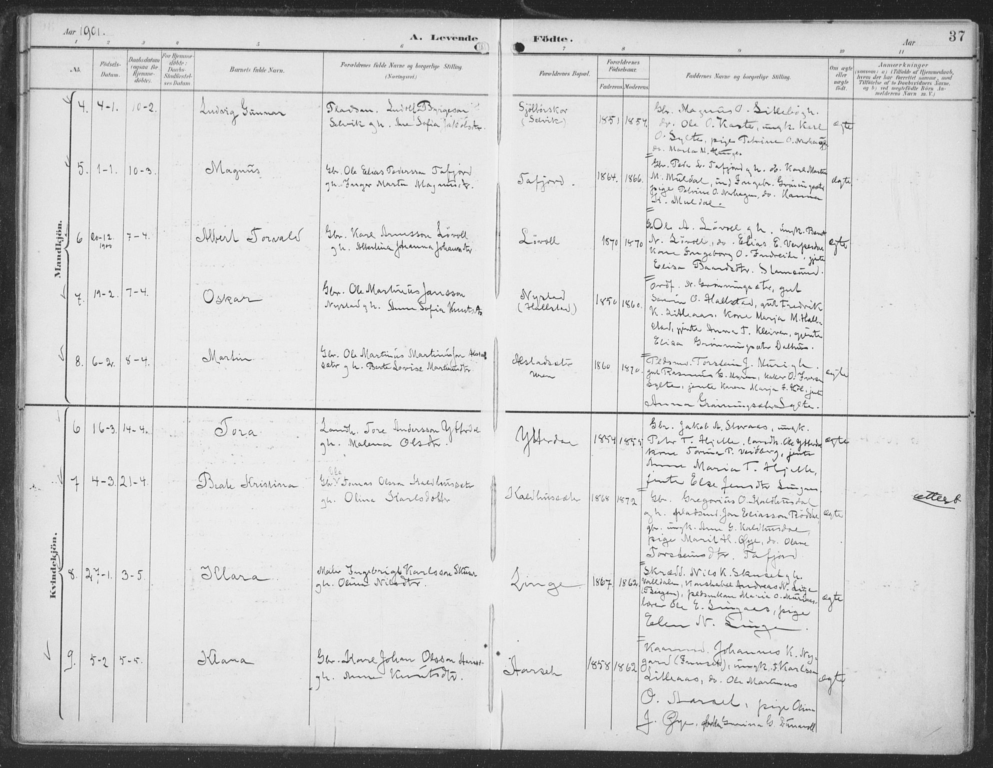 Ministerialprotokoller, klokkerbøker og fødselsregistre - Møre og Romsdal, AV/SAT-A-1454/519/L0256: Parish register (official) no. 519A15, 1895-1912, p. 37