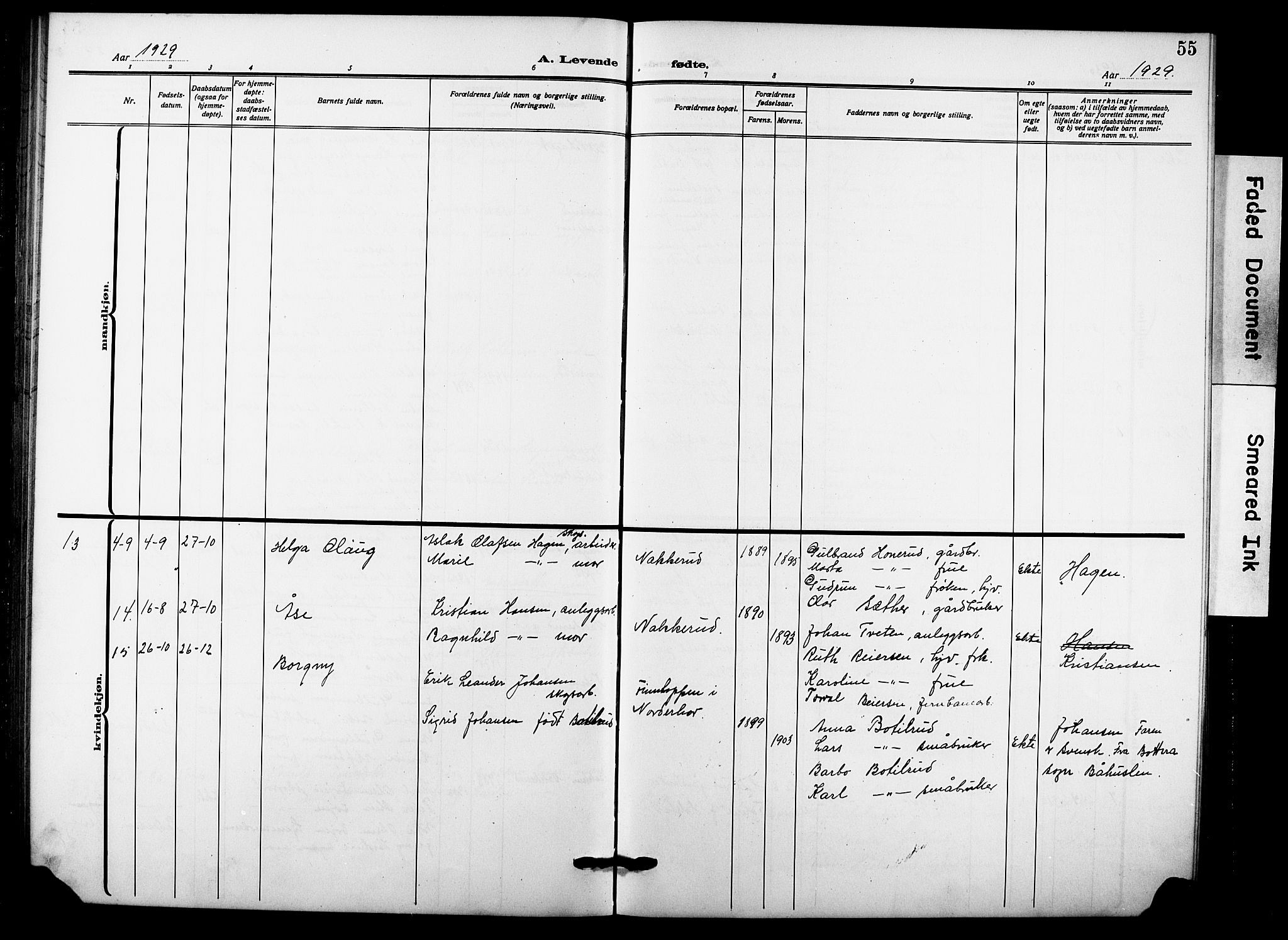 Hole kirkebøker, AV/SAKO-A-228/G/Gb/L0005: Parish register (copy) no. II 5, 1915-1932, p. 55