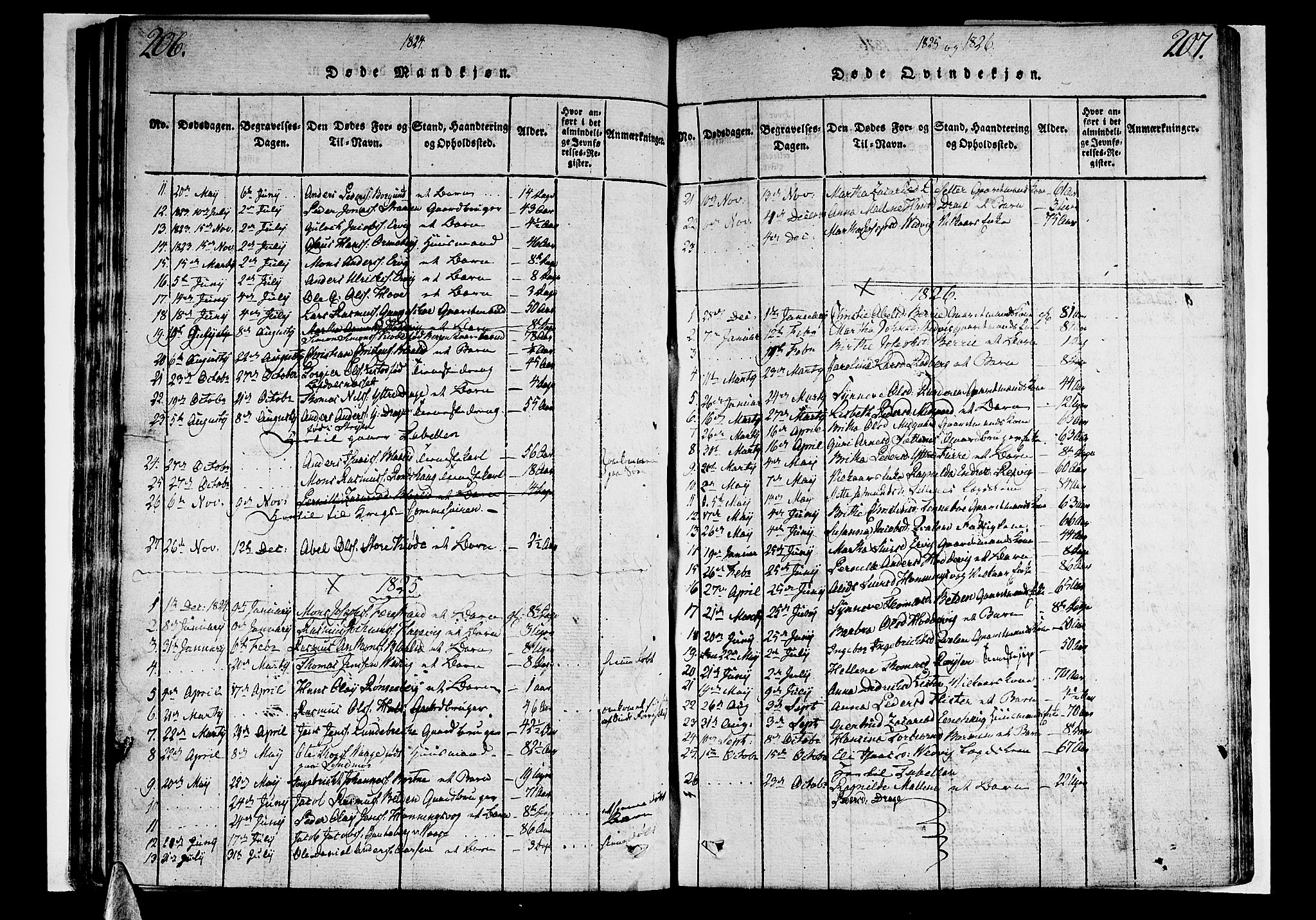 Selje sokneprestembete, SAB/A-99938/H/Ha/Haa/Haaa: Parish register (official) no. A 8, 1816-1828, p. 206-207