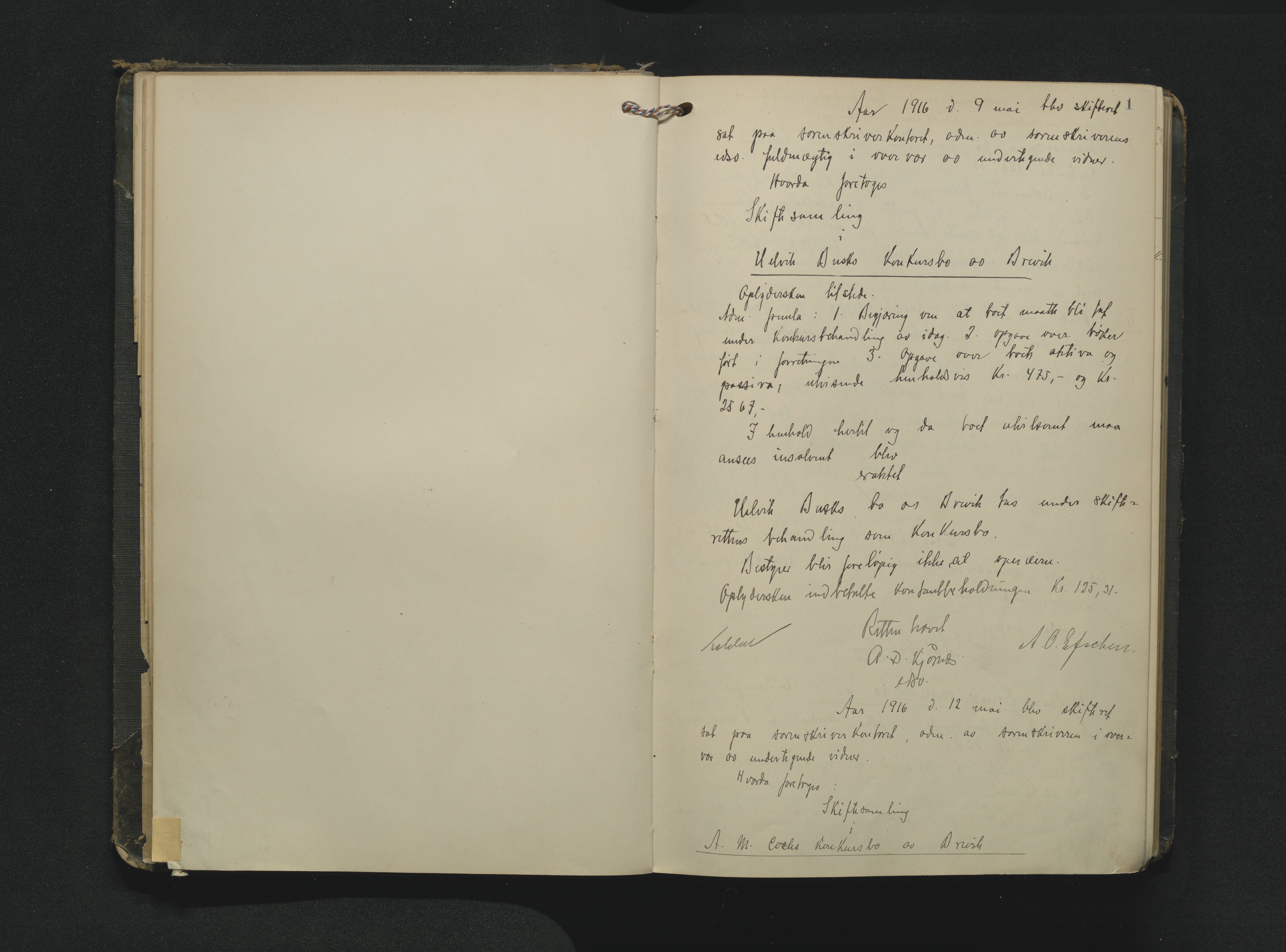 Bamble sorenskriveri, AV/SAKO-A-214/H/Hb/Hbc/L0019: Skifteforhandlingsprotokoll, 1916-1924, p. 1