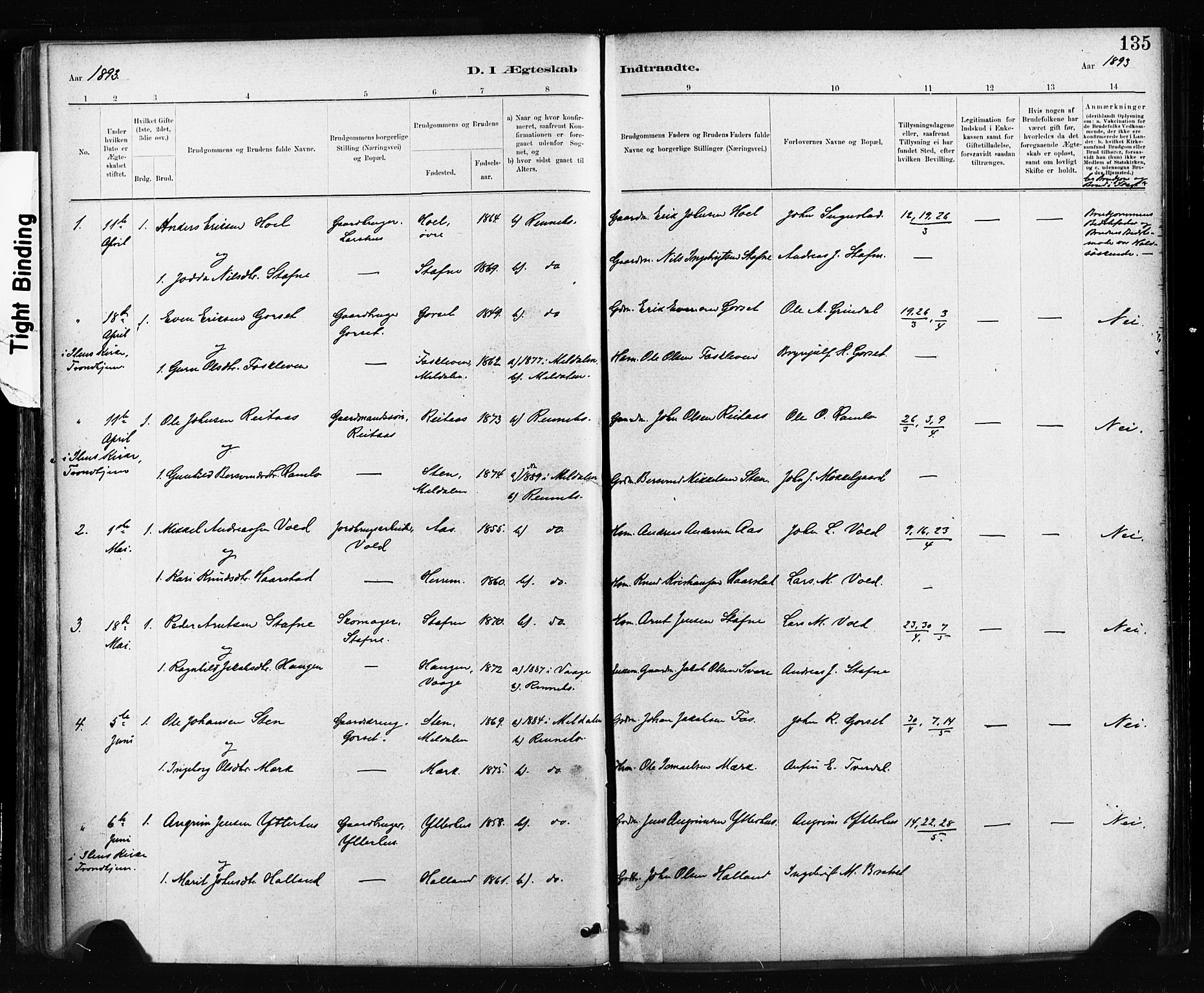 Ministerialprotokoller, klokkerbøker og fødselsregistre - Sør-Trøndelag, SAT/A-1456/674/L0871: Parish register (official) no. 674A03, 1880-1896, p. 135