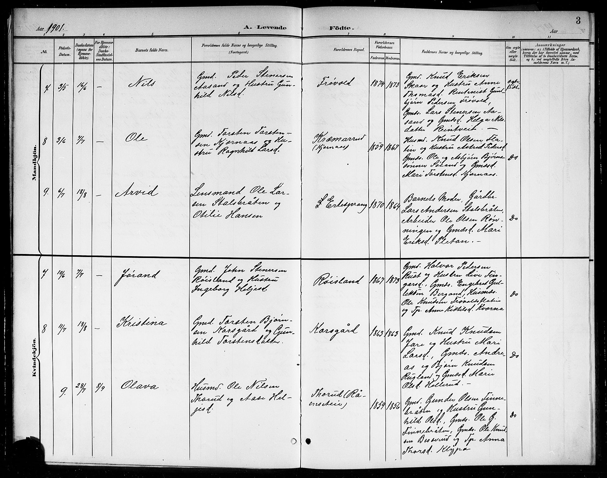 Sigdal kirkebøker, SAKO/A-245/G/Gb/L0003: Parish register (copy) no. II 3, 1901-1916, p. 3