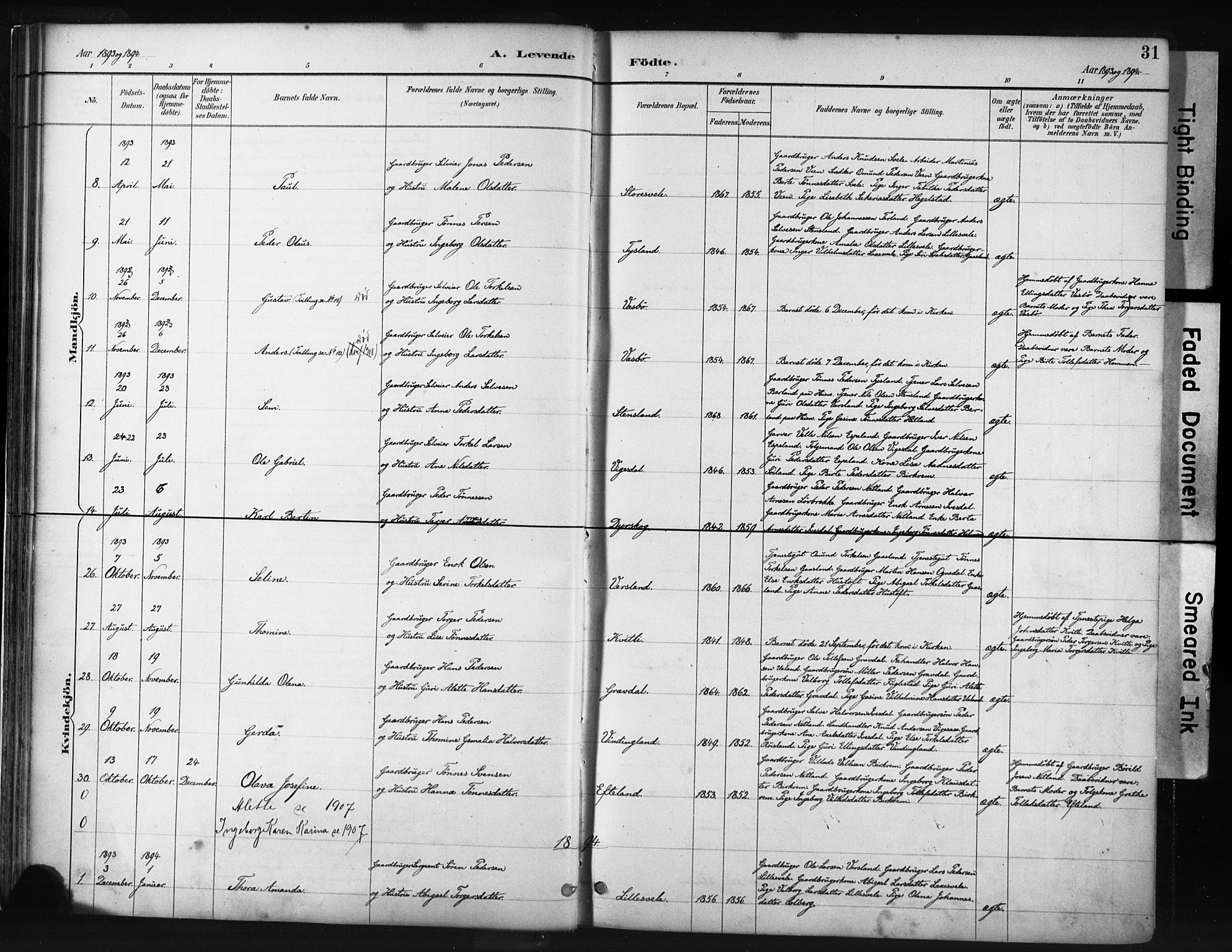 Helleland sokneprestkontor, AV/SAST-A-101810: Parish register (official) no. A 9, 1887-1908, p. 31