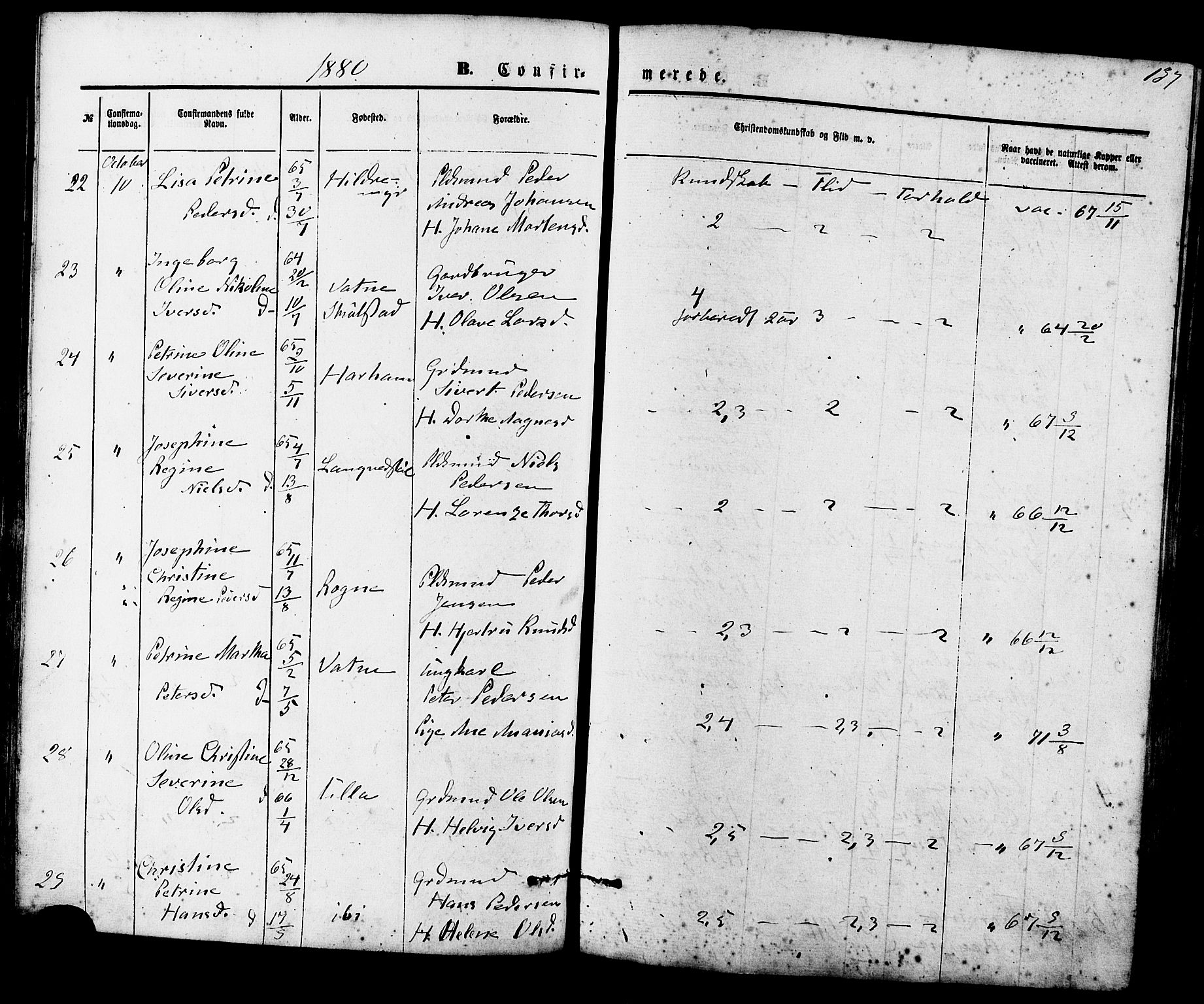 Ministerialprotokoller, klokkerbøker og fødselsregistre - Møre og Romsdal, AV/SAT-A-1454/536/L0500: Parish register (official) no. 536A09, 1876-1889, p. 137