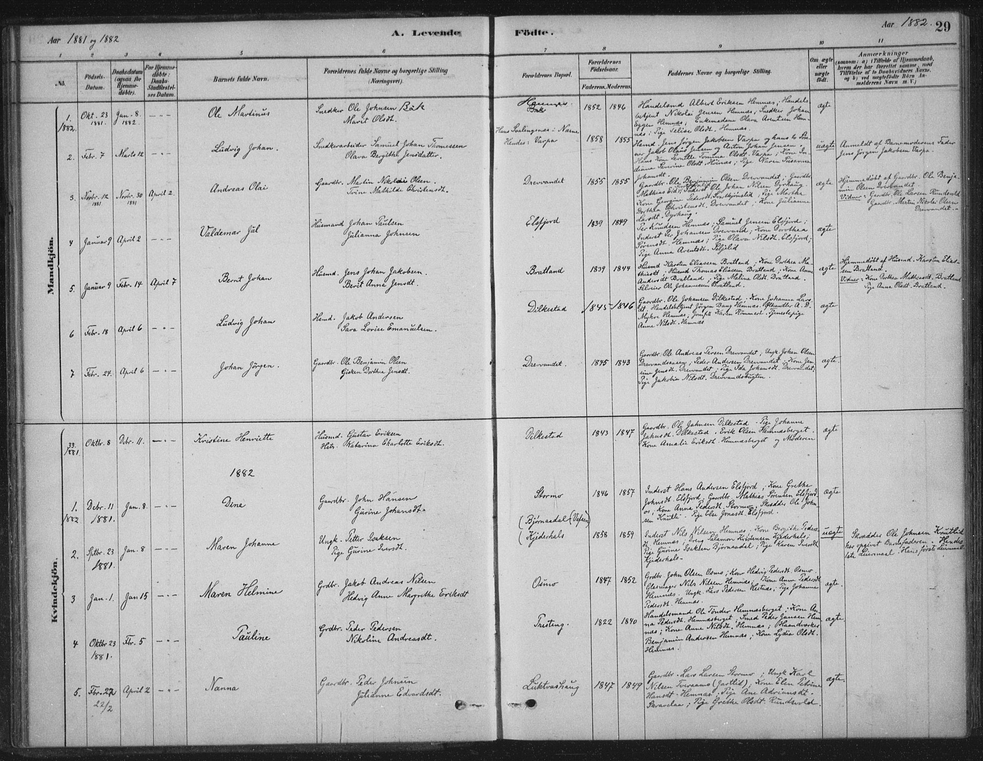 Ministerialprotokoller, klokkerbøker og fødselsregistre - Nordland, AV/SAT-A-1459/825/L0361: Parish register (official) no. 825A15, 1878-1893, p. 29