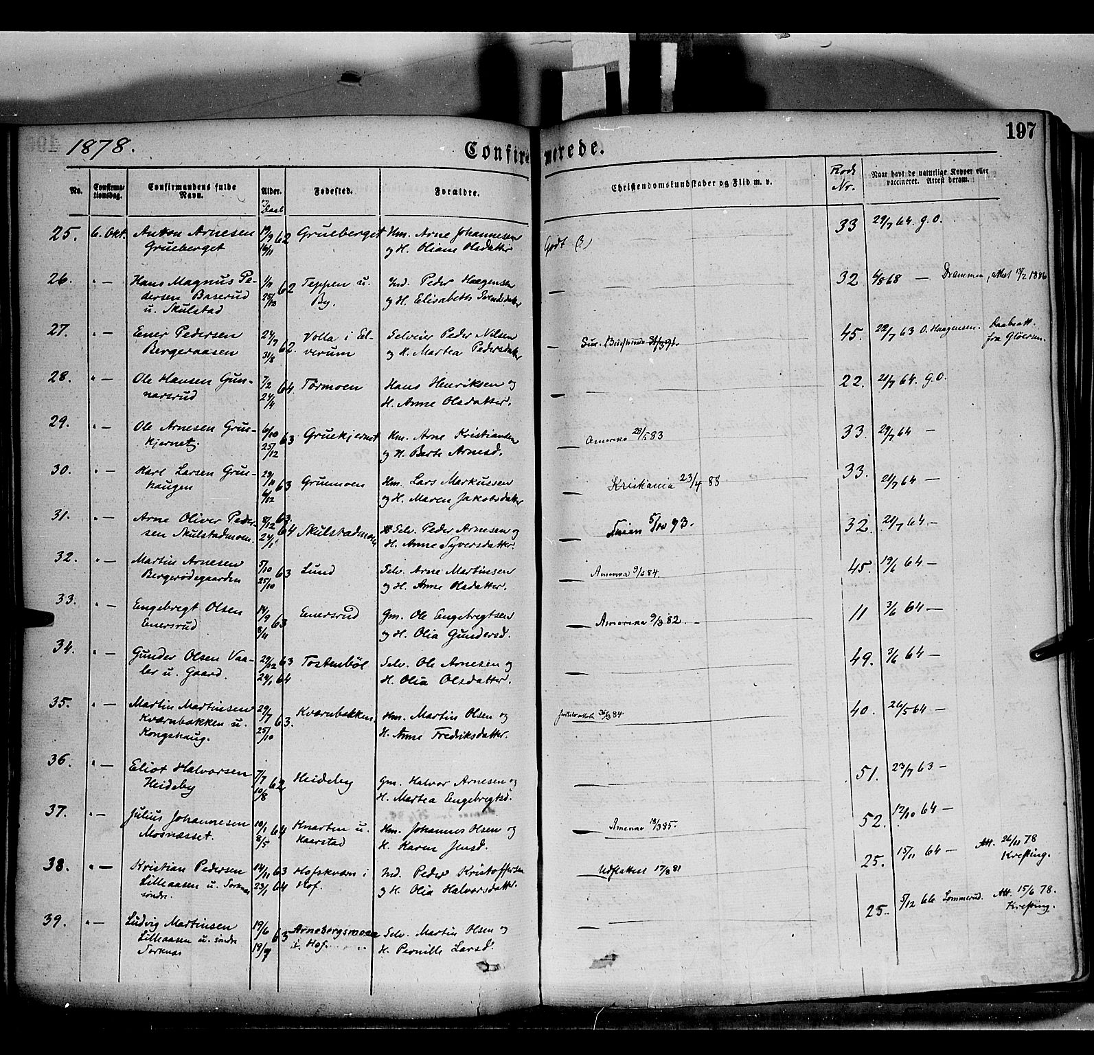 Grue prestekontor, AV/SAH-PREST-036/H/Ha/Haa/L0011: Parish register (official) no. 11, 1873-1880, p. 197