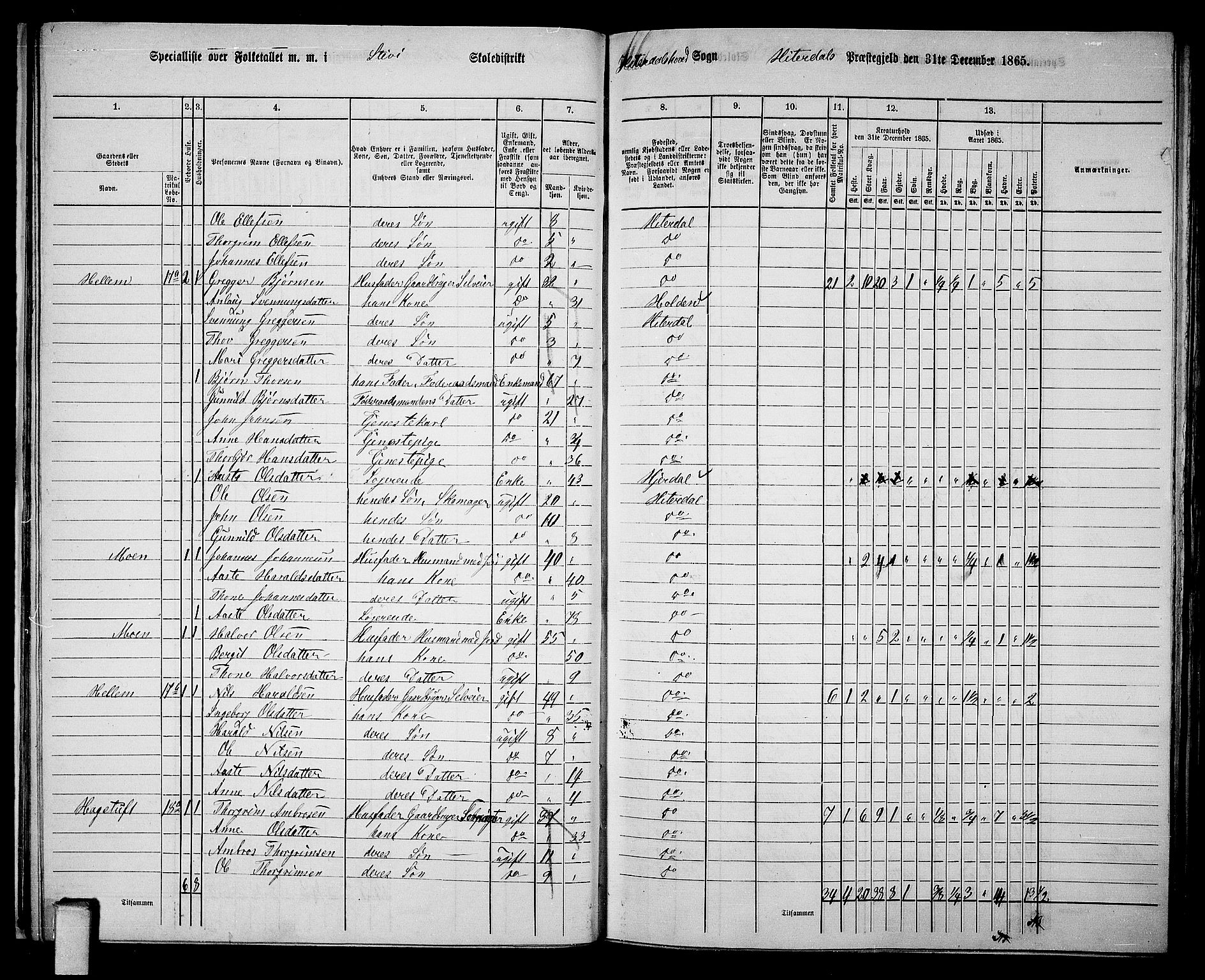 RA, 1865 census for Heddal, 1865, p. 24