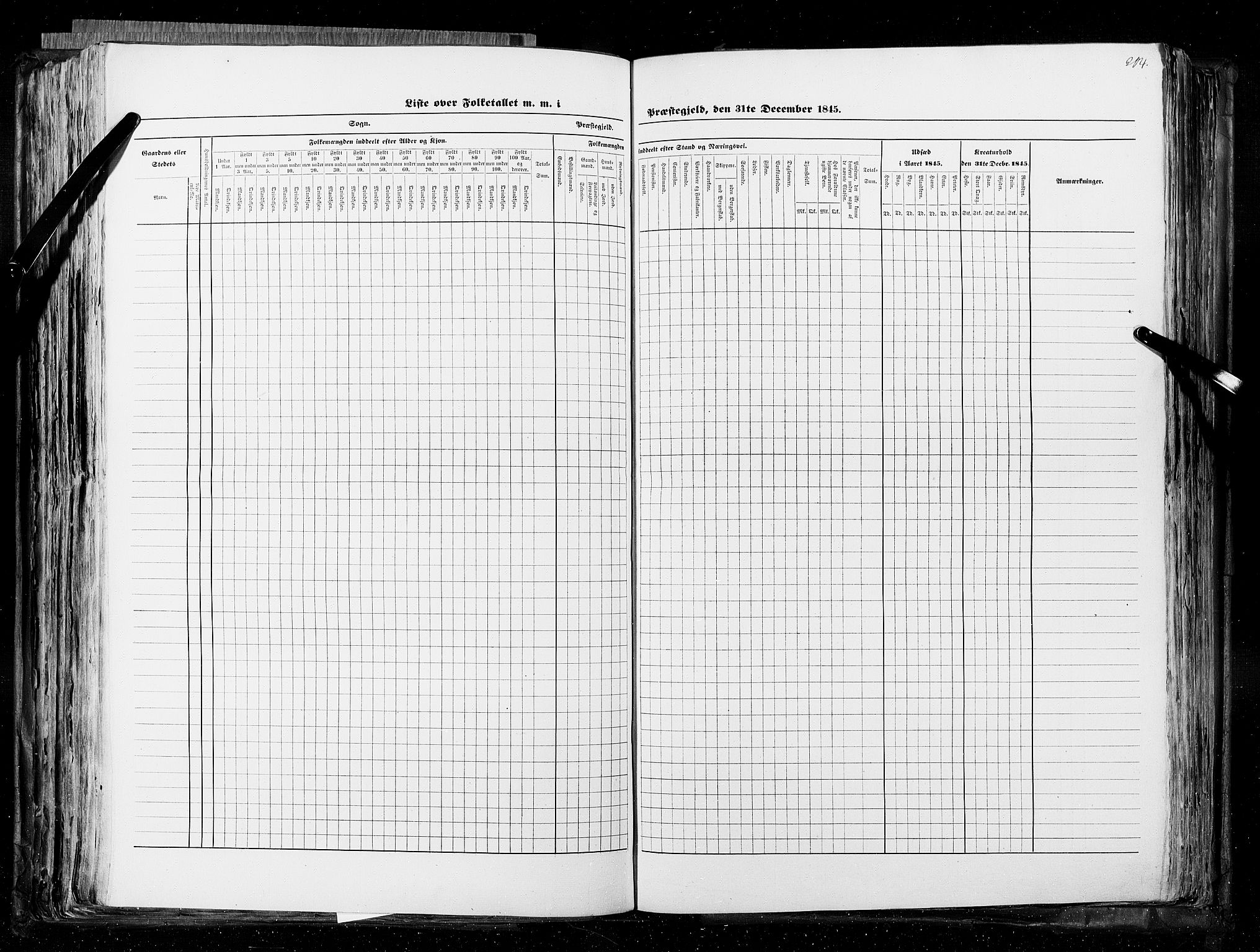 RA, Census 1845, vol. 5: Bratsberg amt og Nedenes og Råbyggelaget amt, 1845, p. 204