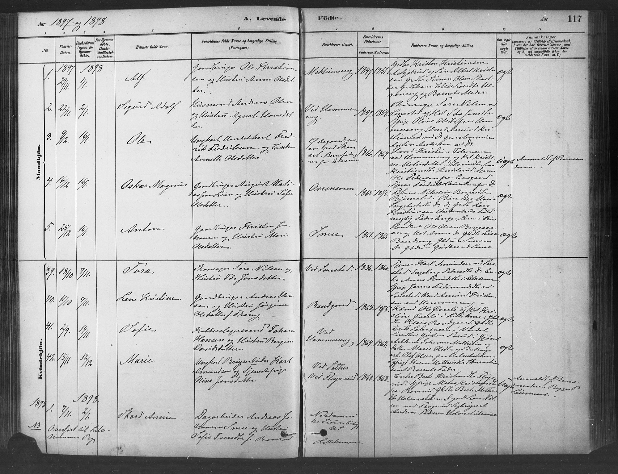 Fåberg prestekontor, SAH/PREST-086/H/Ha/Haa/L0009: Parish register (official) no. 9, 1879-1898, p. 117