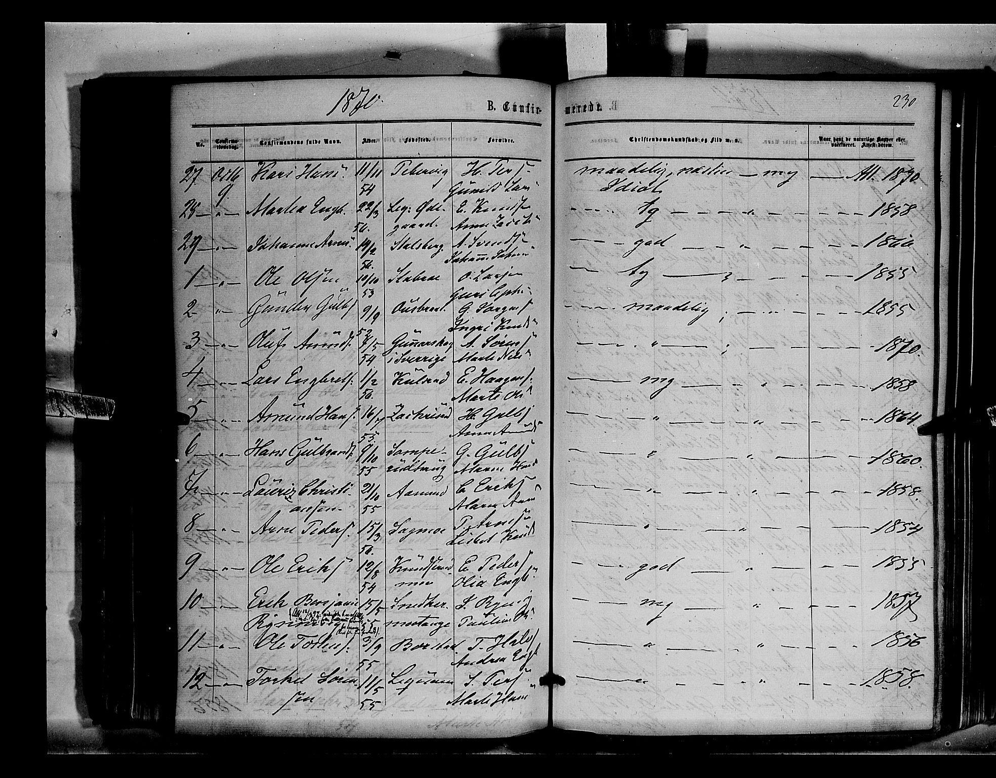 Sør-Odal prestekontor, AV/SAH-PREST-030/H/Ha/Haa/L0003: Parish register (official) no. 3, 1864-1870, p. 230