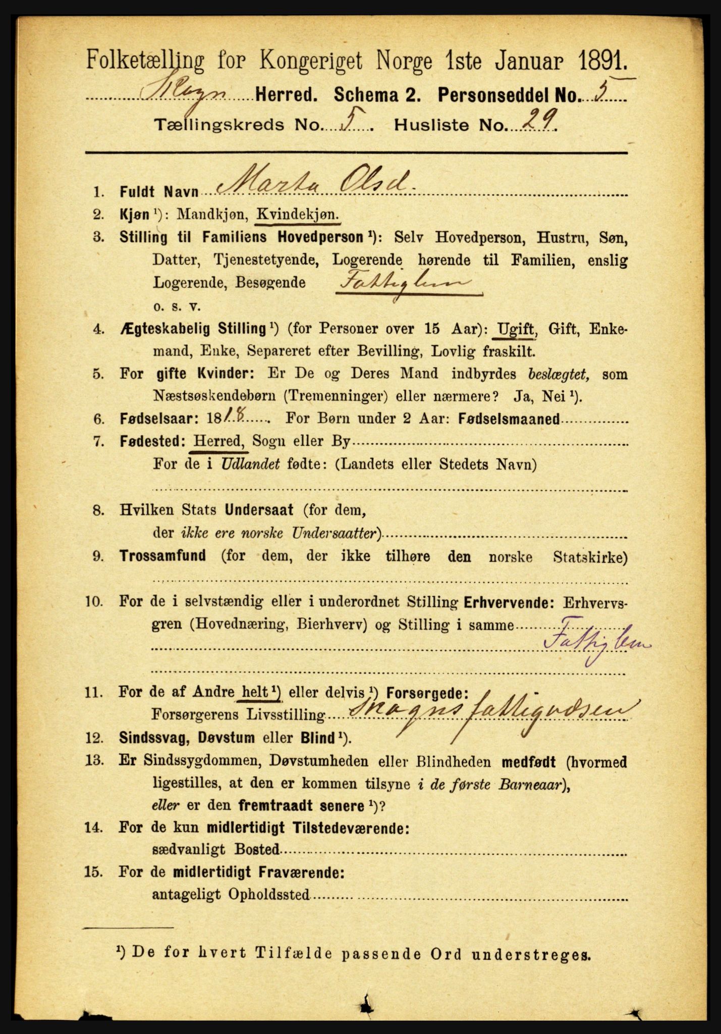 RA, 1891 census for 1719 Skogn, 1891, p. 3072