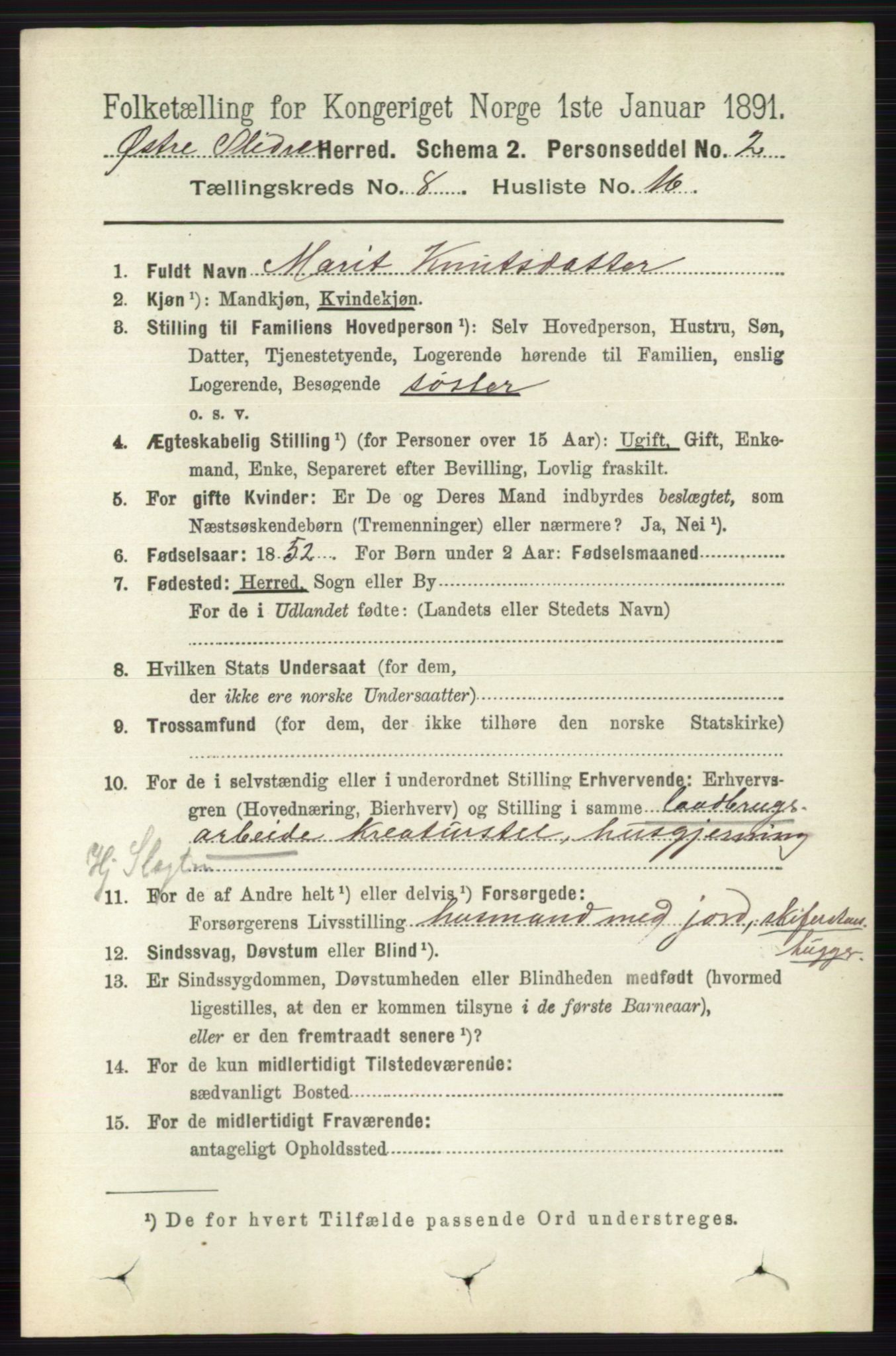 RA, 1891 census for 0544 Øystre Slidre, 1891, p. 2648