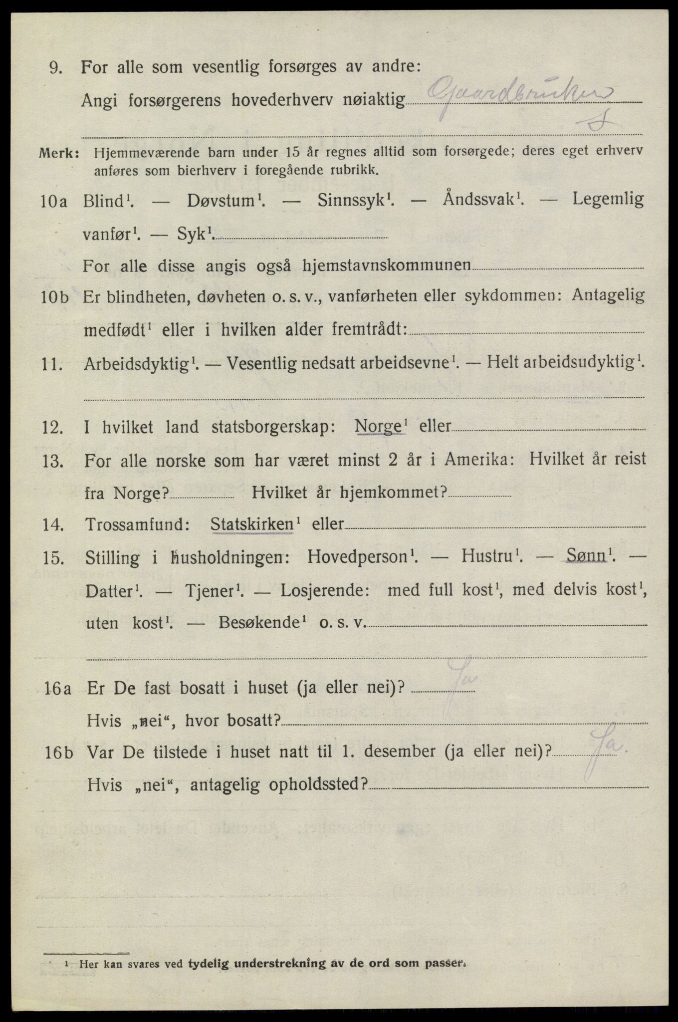 SAKO, 1920 census for Heddal, 1920, p. 6015