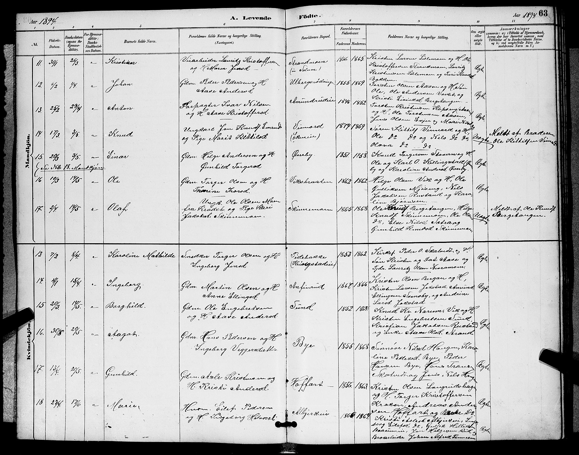 Sigdal kirkebøker, AV/SAKO-A-245/G/Ga/L0005: Parish register (copy) no. I 5, 1886-1900, p. 63