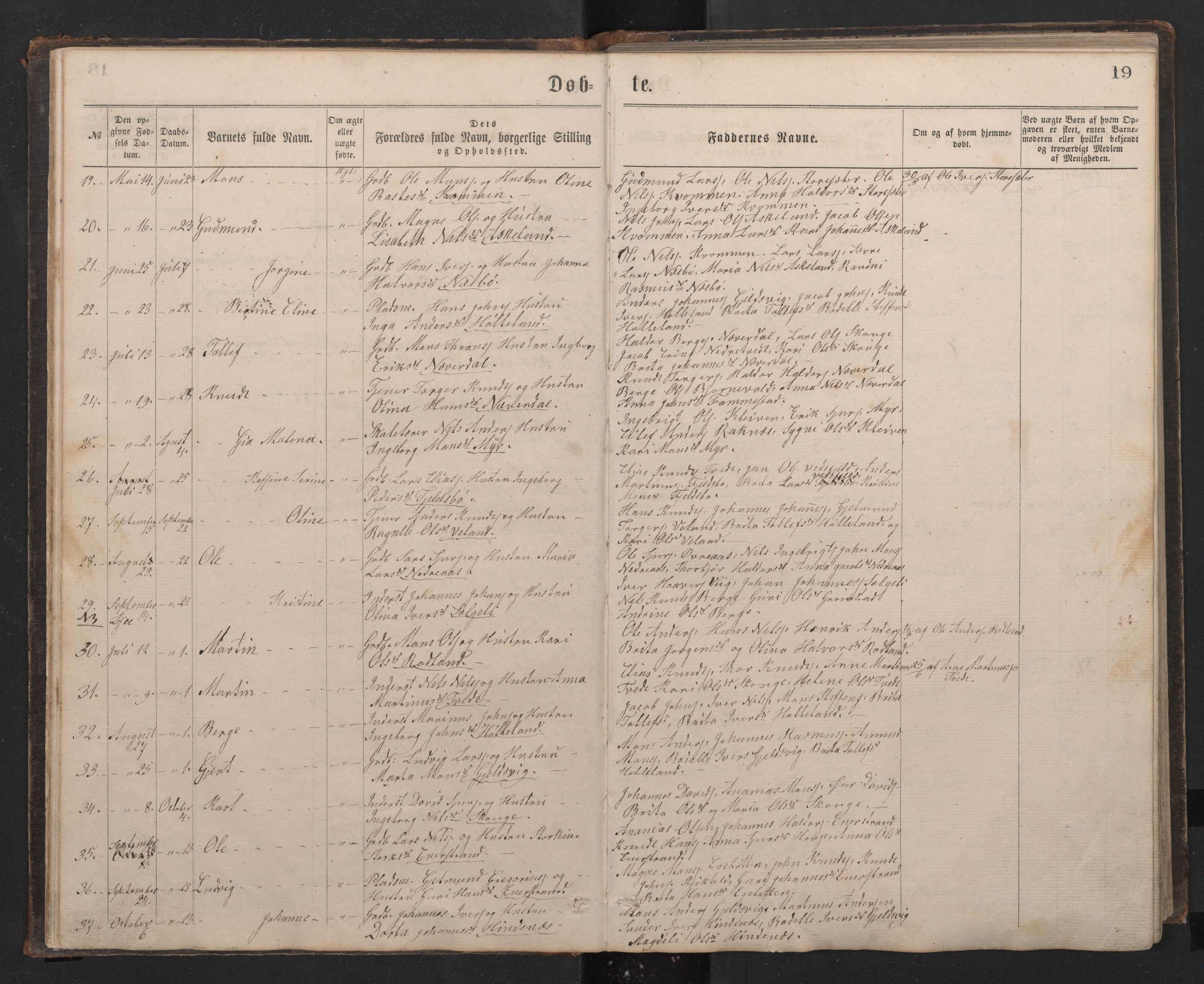 Lindås Sokneprestembete, AV/SAB-A-76701/H/Hab/Habe/L0002: Parish register (copy) no. E 2, 1867-1892, p. 18b-19a