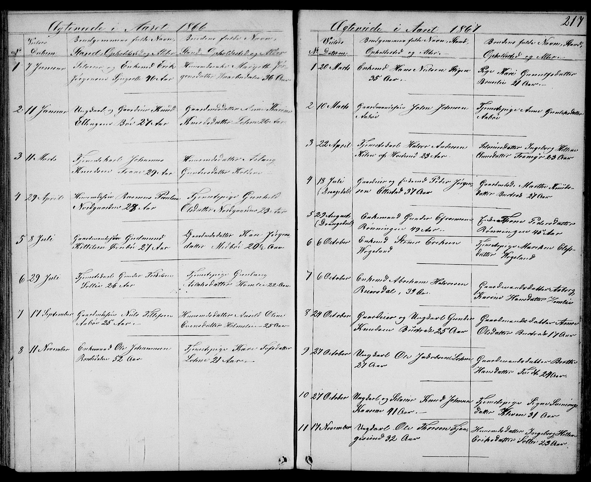 Drangedal kirkebøker, SAKO/A-258/G/Gb/L0001: Parish register (copy) no. II 1, 1856-1894, p. 217