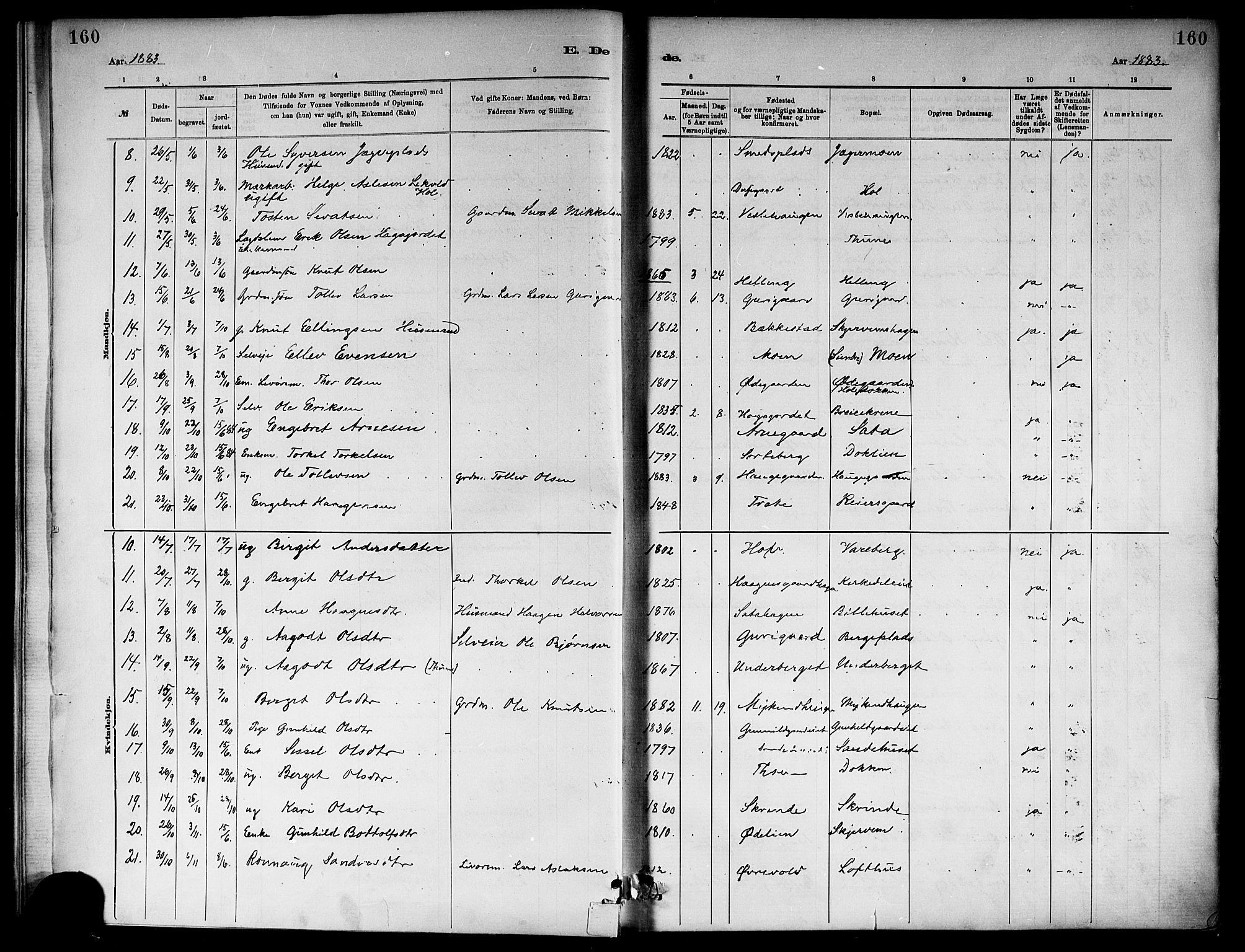 Ål kirkebøker, AV/SAKO-A-249/F/Fa/L0008: Parish register (official) no. I 8, 1882-1896, p. 160