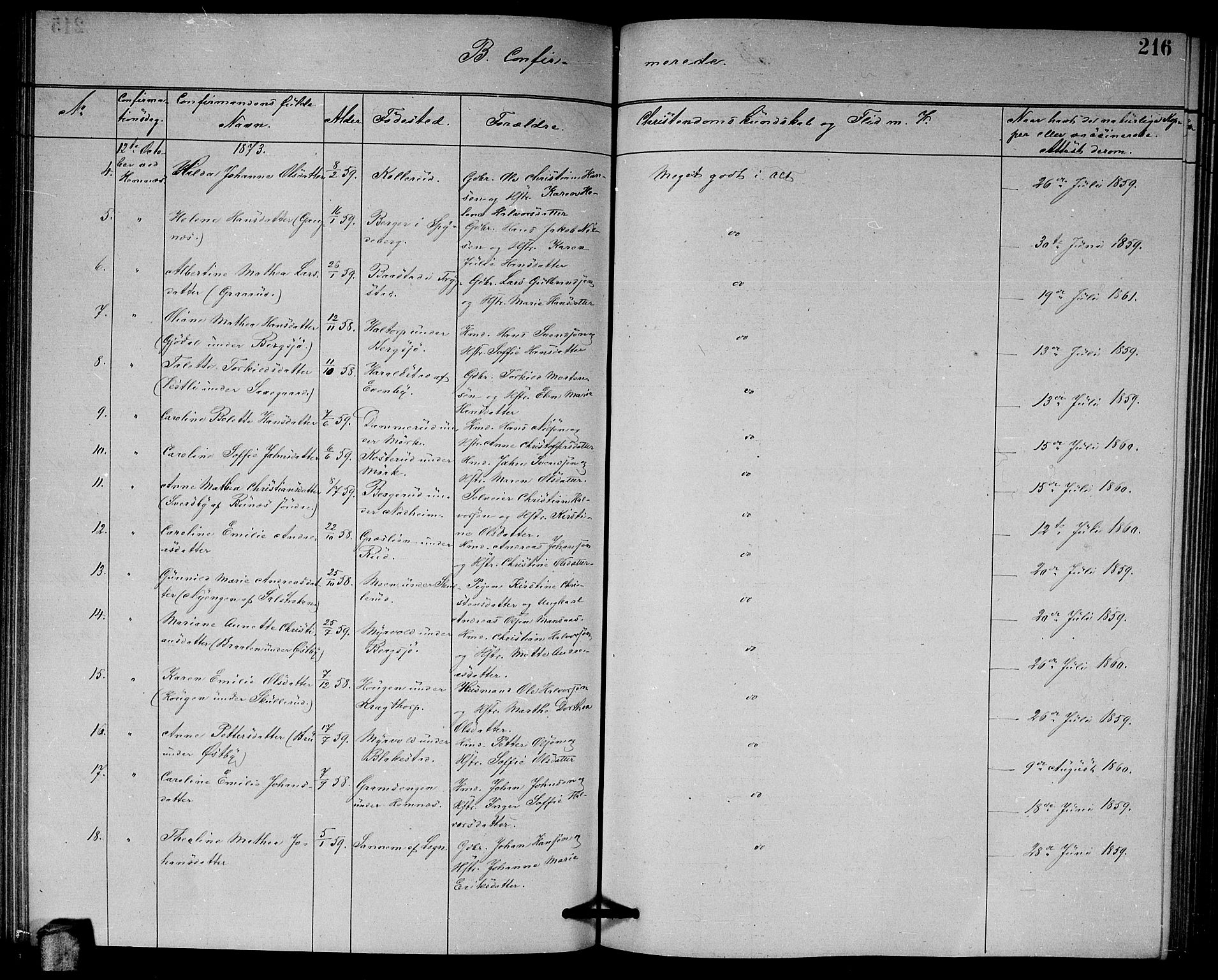 Høland prestekontor Kirkebøker, AV/SAO-A-10346a/G/Ga/L0006: Parish register (copy) no. I 6, 1869-1879, p. 216