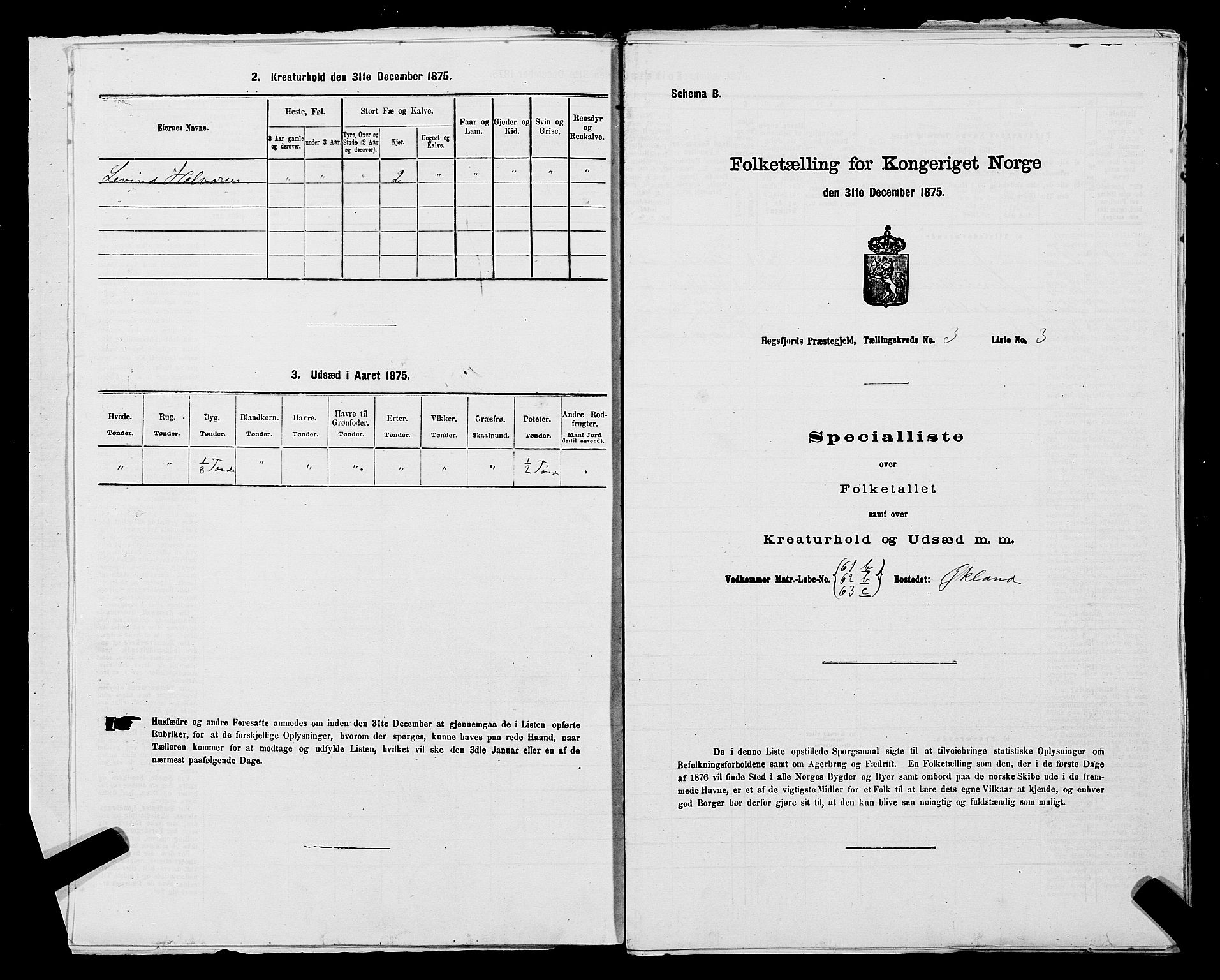 SAST, 1875 census for 1128P Høgsfjord, 1875, p. 244