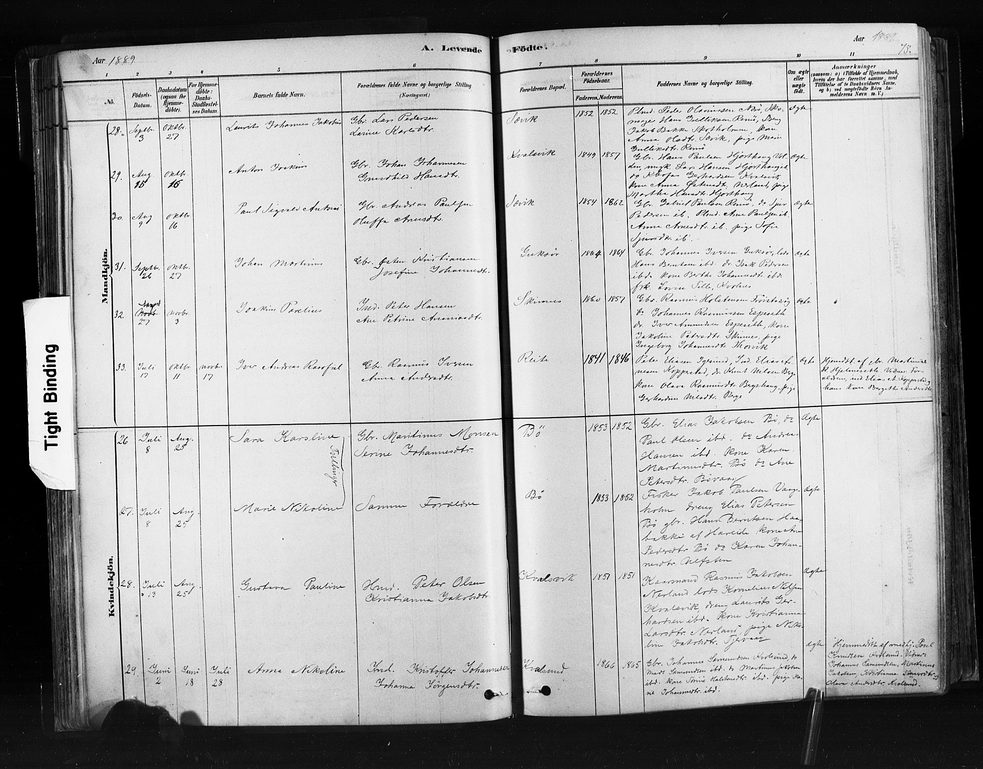 Ministerialprotokoller, klokkerbøker og fødselsregistre - Møre og Romsdal, SAT/A-1454/507/L0073: Parish register (official) no. 507A08, 1878-1904, p. 75