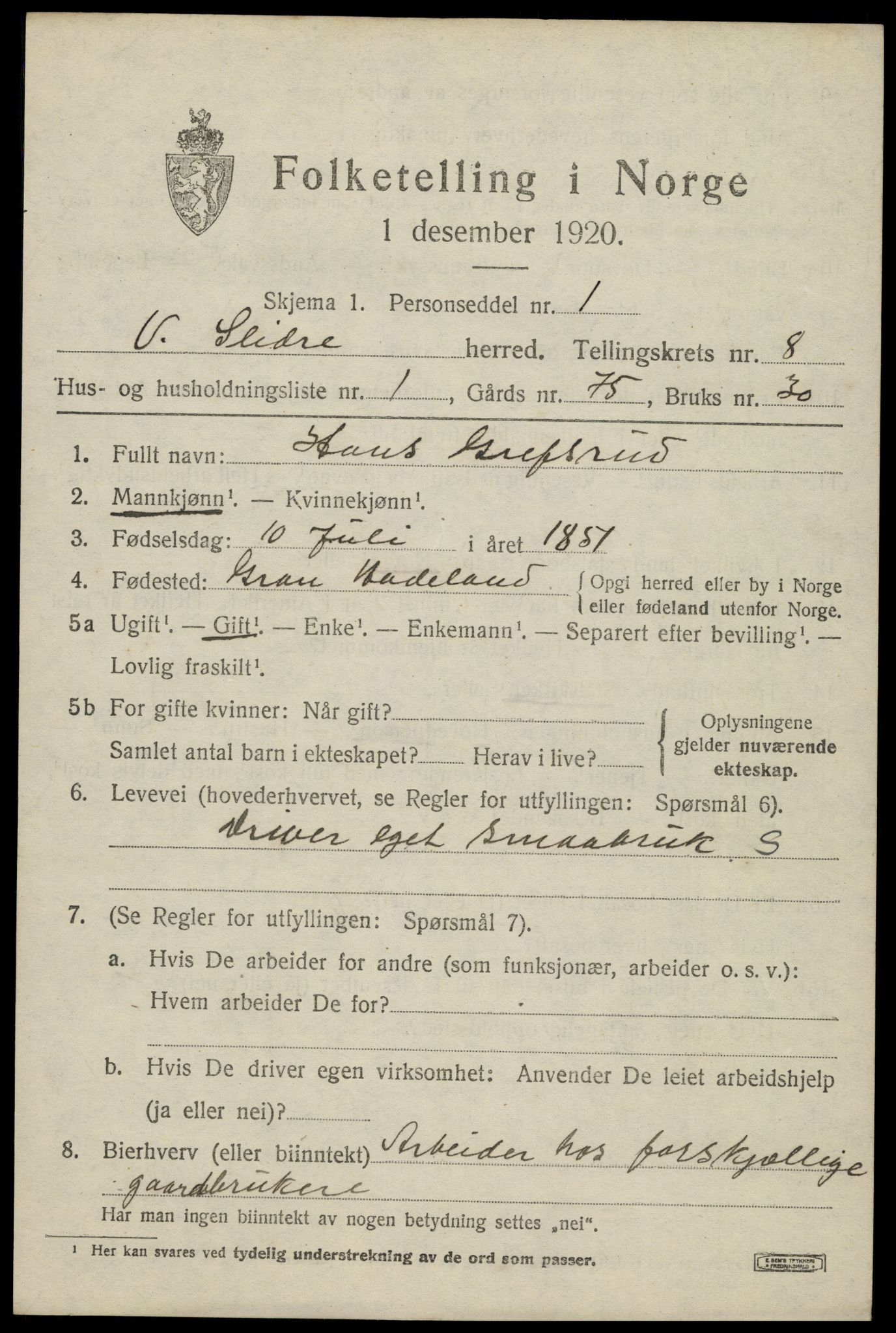 SAH, 1920 census for Vestre Slidre, 1920, p. 4276