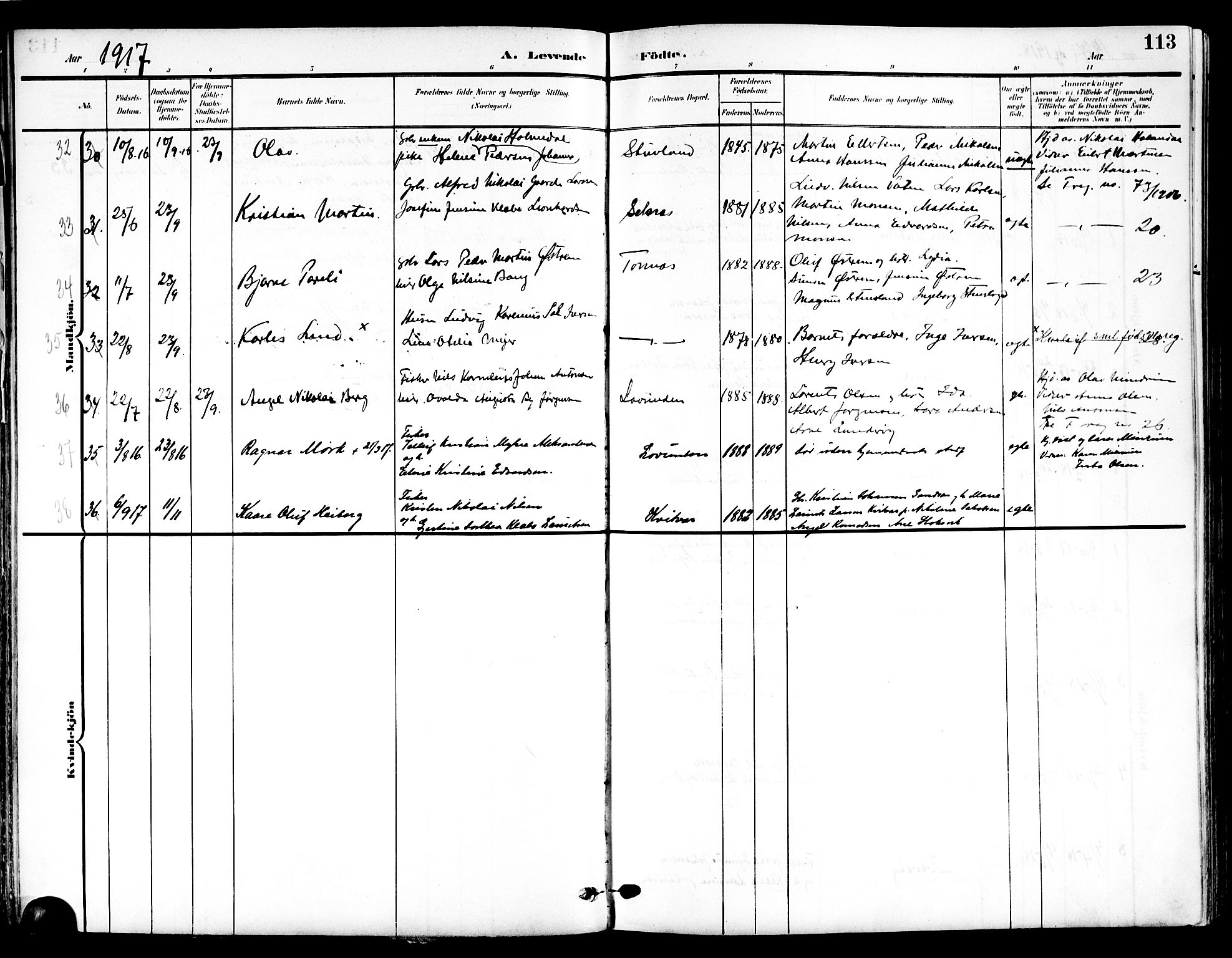 Ministerialprotokoller, klokkerbøker og fødselsregistre - Nordland, AV/SAT-A-1459/839/L0569: Parish register (official) no. 839A06, 1903-1922, p. 113