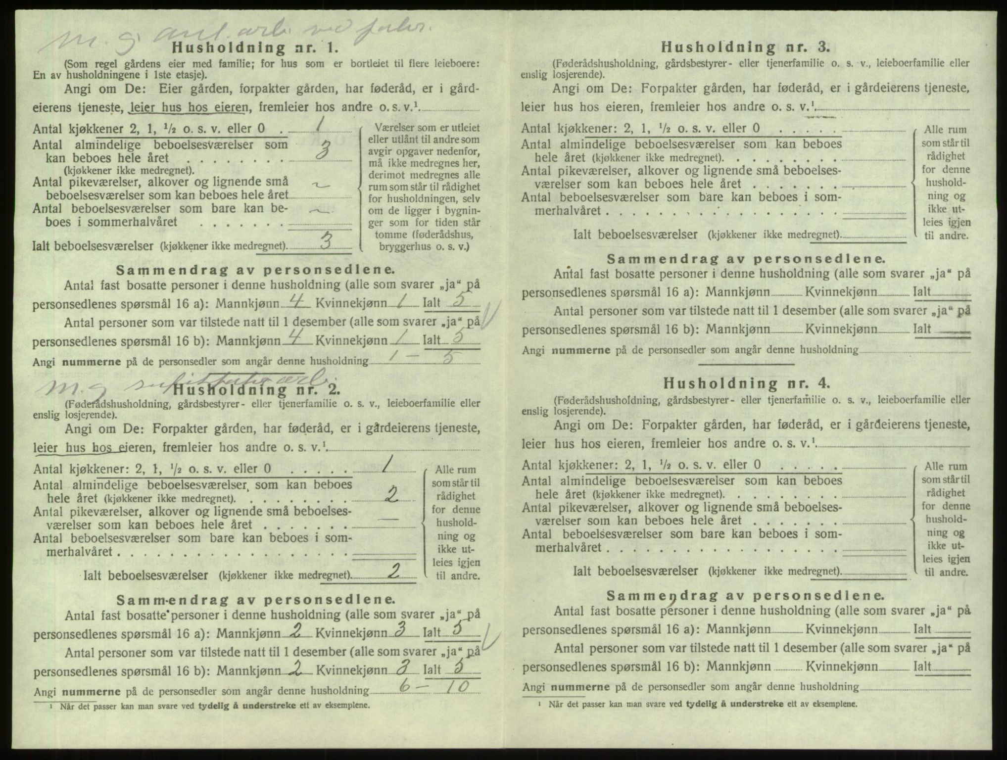 SAO, 1920 census for Skjeberg, 1920, p. 2010