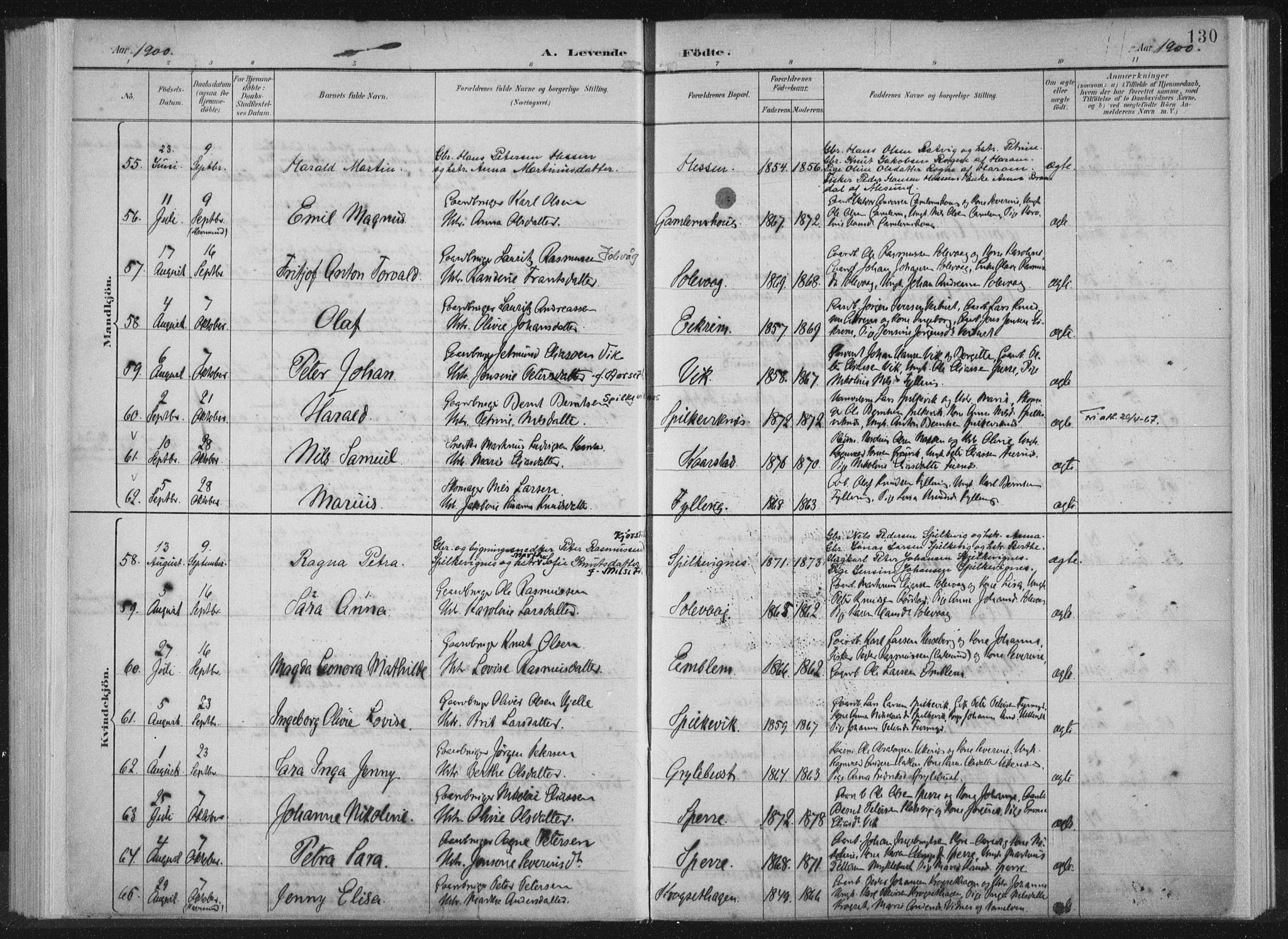 Ministerialprotokoller, klokkerbøker og fødselsregistre - Møre og Romsdal, AV/SAT-A-1454/528/L0405: Parish register (official) no. 528A14, 1891-1906, p. 130