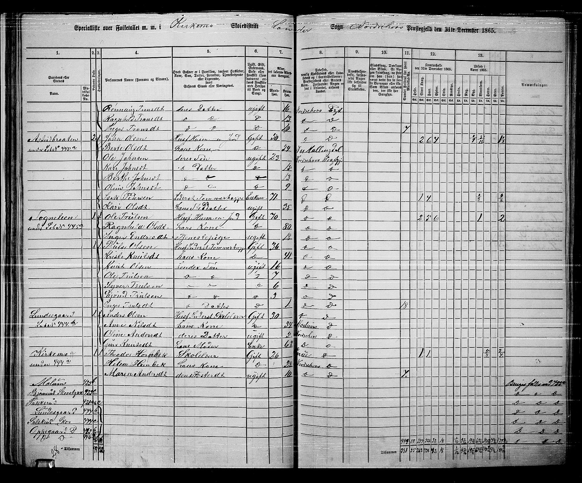 RA, 1865 census for Norderhov/Norderhov, Haug og Lunder, 1865, p. 46