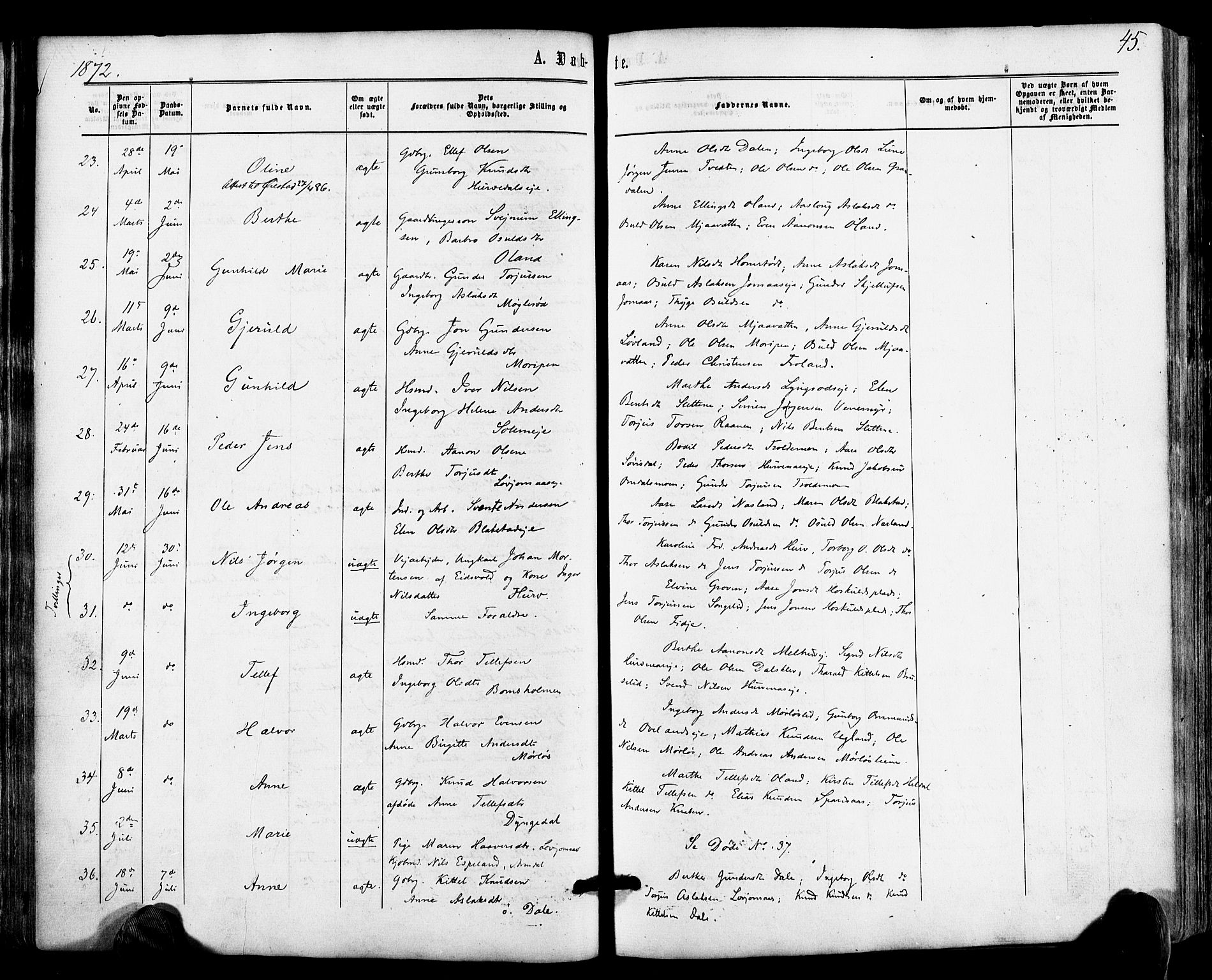 Froland sokneprestkontor, AV/SAK-1111-0013/F/Fa/L0003: Parish register (official) no. A 3, 1864-1881, p. 45