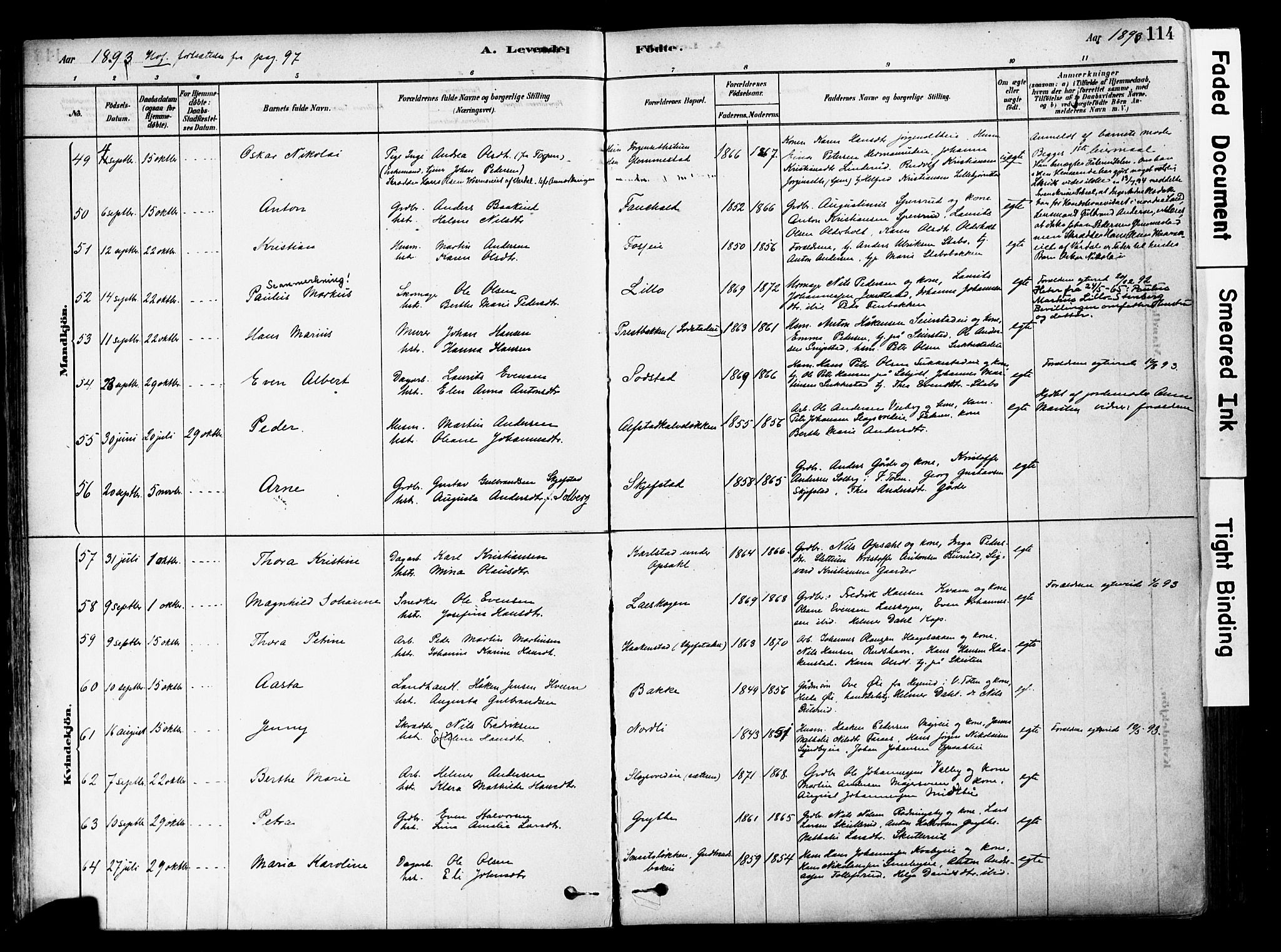 Østre Toten prestekontor, AV/SAH-PREST-104/H/Ha/Haa/L0006: Parish register (official) no. 6 /1, 1878-1896, p. 114