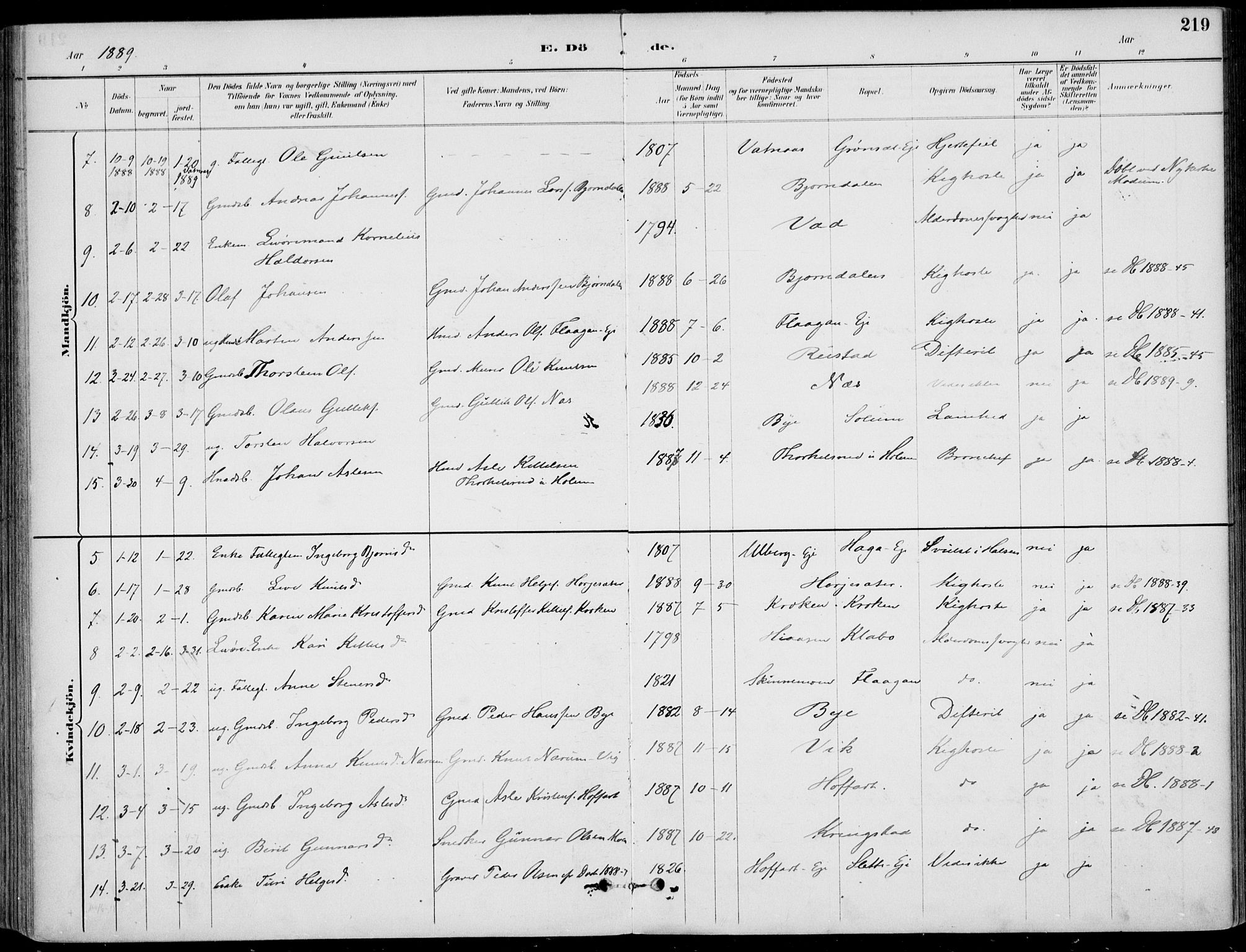 Sigdal kirkebøker, SAKO/A-245/F/Fb/L0001: Parish register (official) no. II 1, 1888-1900, p. 219