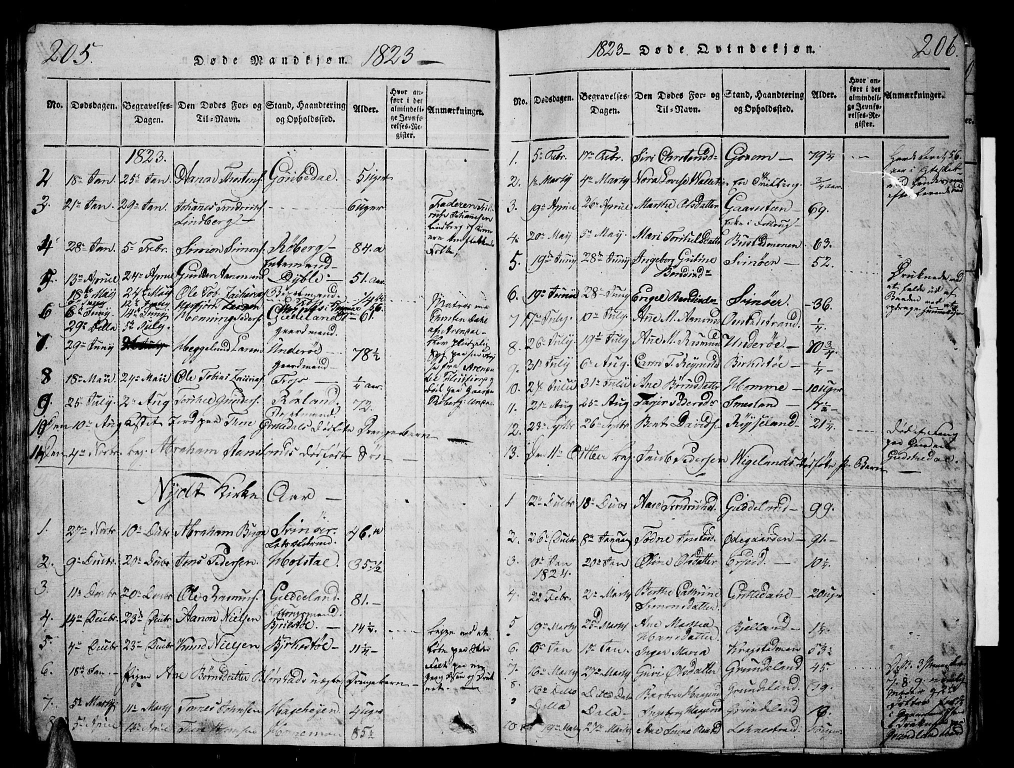 Sør-Audnedal sokneprestkontor, AV/SAK-1111-0039/F/Fb/Fbb/L0001: Parish register (copy) no. B 1, 1815-1827, p. 205-206