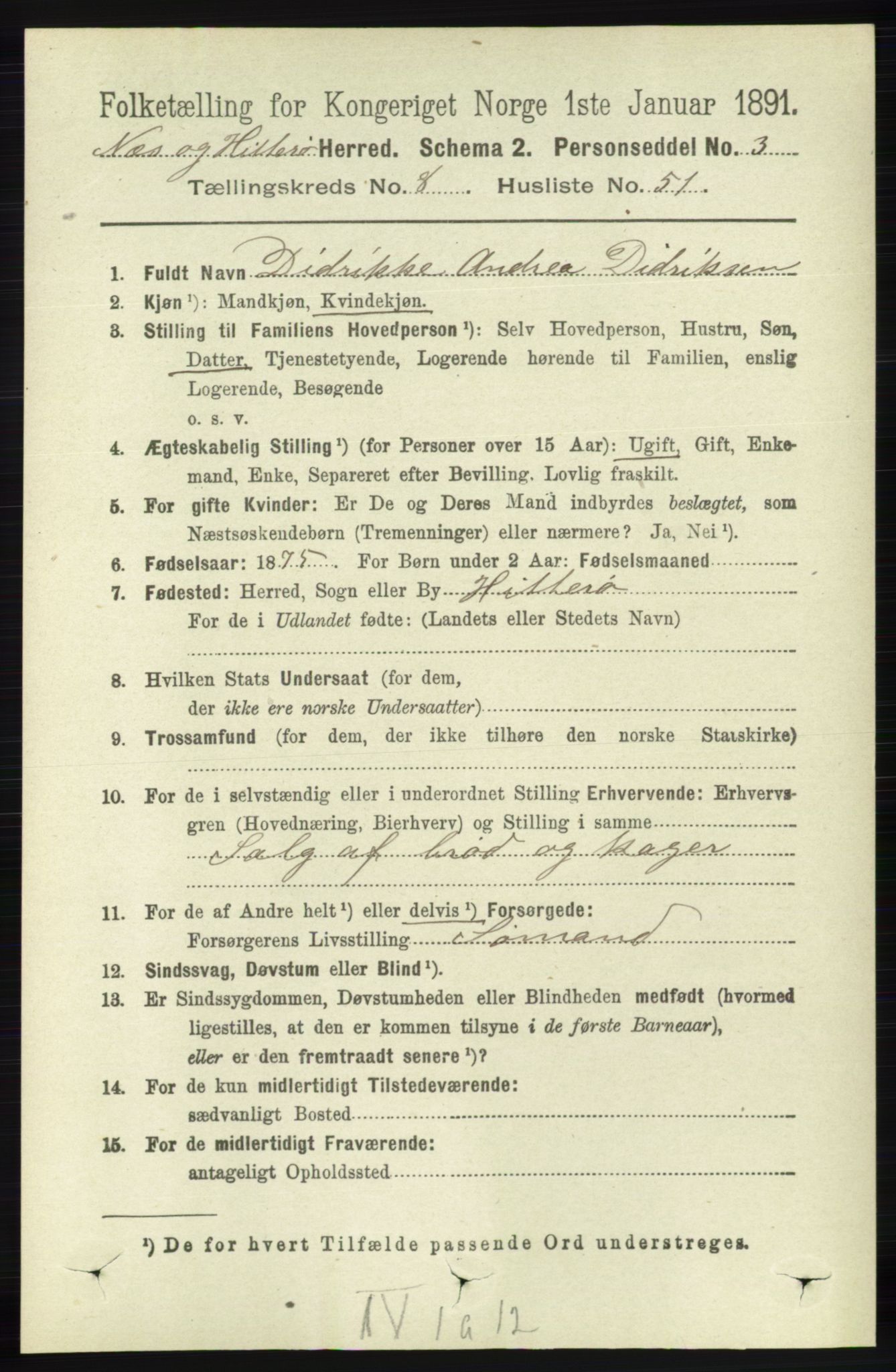 RA, 1891 census for 1043 Hidra og Nes, 1891, p. 3582