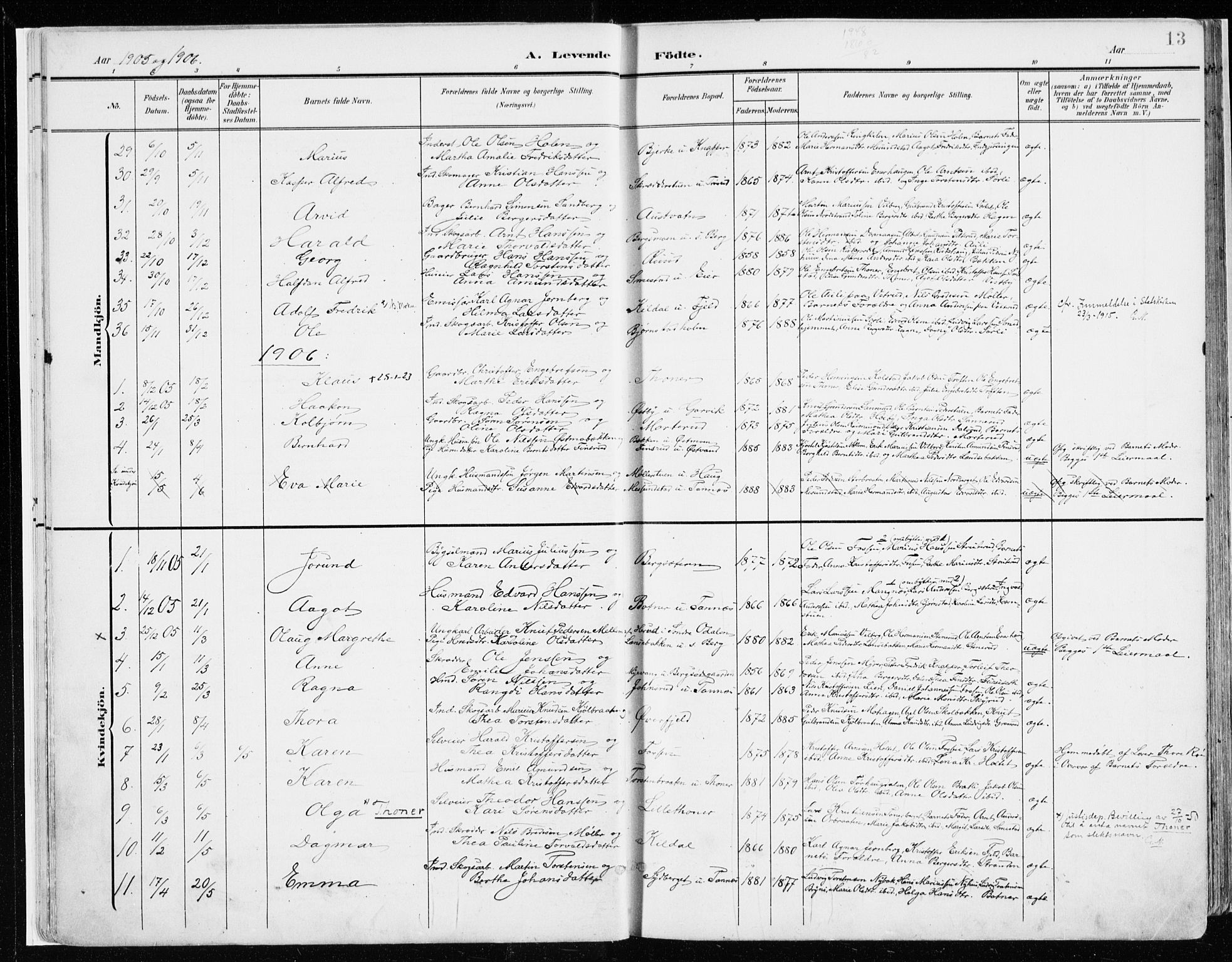 Nord-Odal prestekontor, SAH/PREST-032/H/Ha/Haa/L0009: Parish register (official) no. 9, 1902-1926, p. 13
