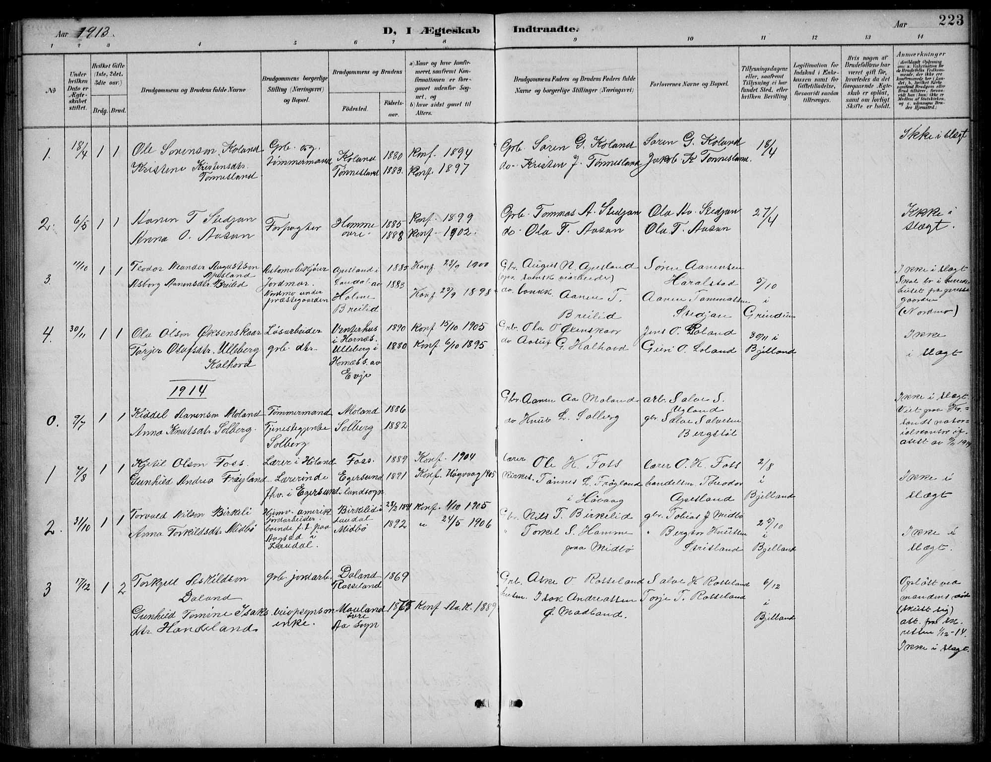 Bjelland sokneprestkontor, AV/SAK-1111-0005/F/Fb/Fba/L0005: Parish register (copy) no. B 5, 1887-1923, p. 223