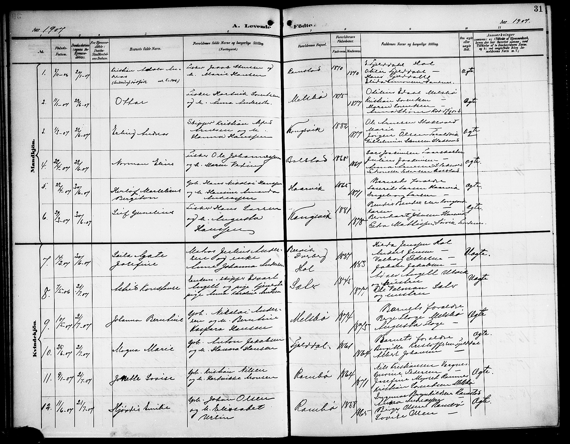 Ministerialprotokoller, klokkerbøker og fødselsregistre - Nordland, AV/SAT-A-1459/865/L0932: Parish register (copy) no. 865C04, 1901-1917, p. 31