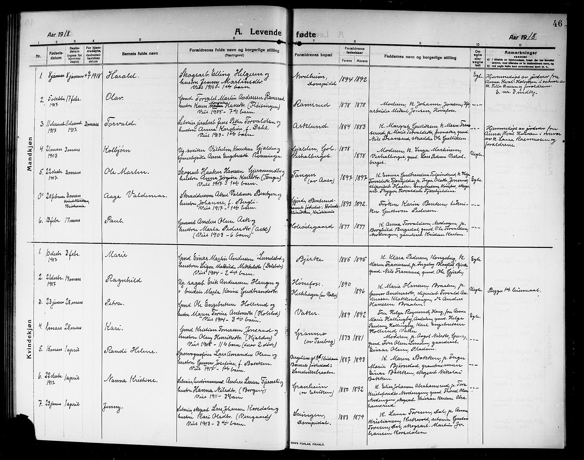 Norderhov kirkebøker, SAKO/A-237/G/Ga/L0009: Parish register (copy) no. I 9, 1913-1920, p. 46