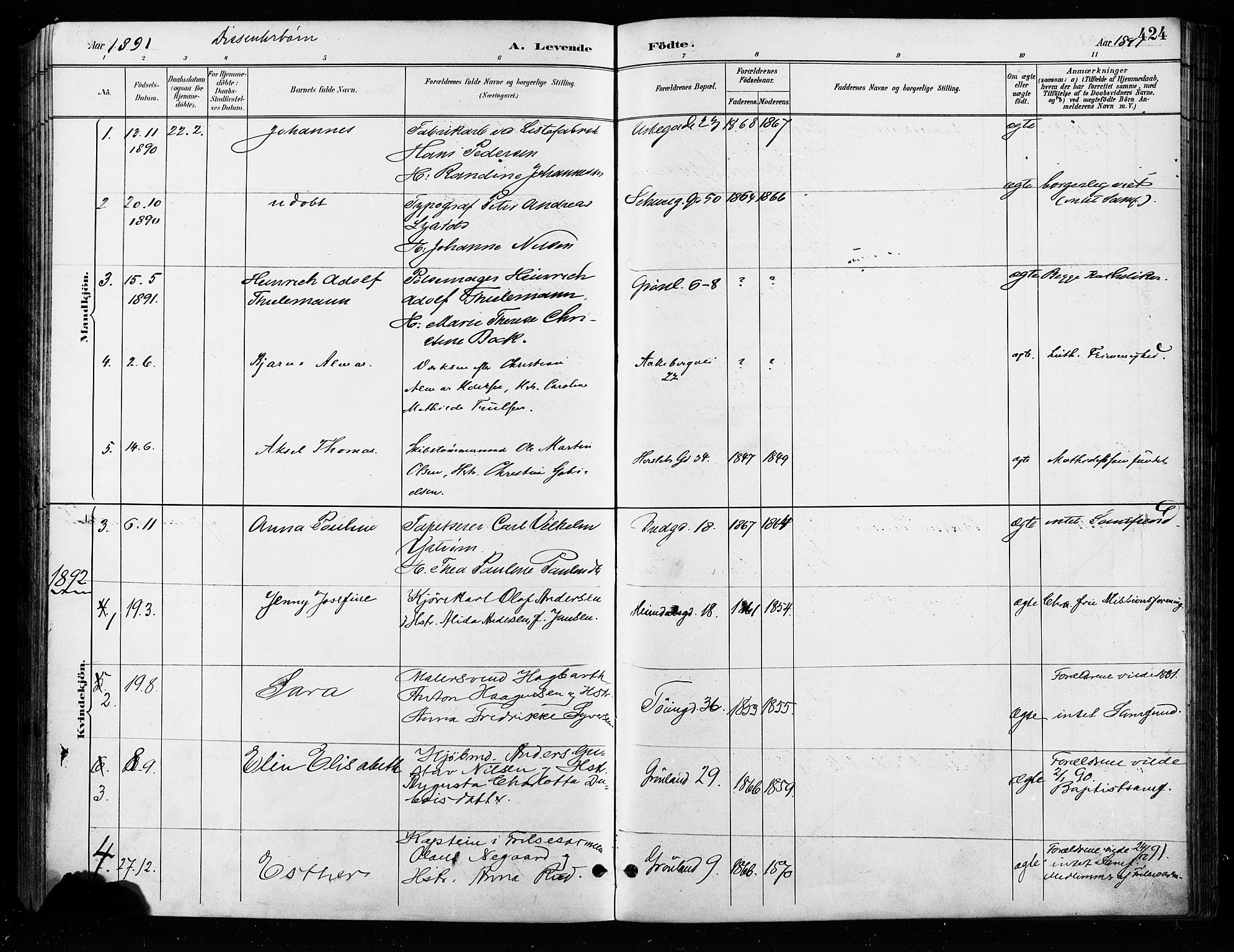 Grønland prestekontor Kirkebøker, SAO/A-10848/F/Fa/L0009: Parish register (official) no. 9, 1888-1893, p. 424