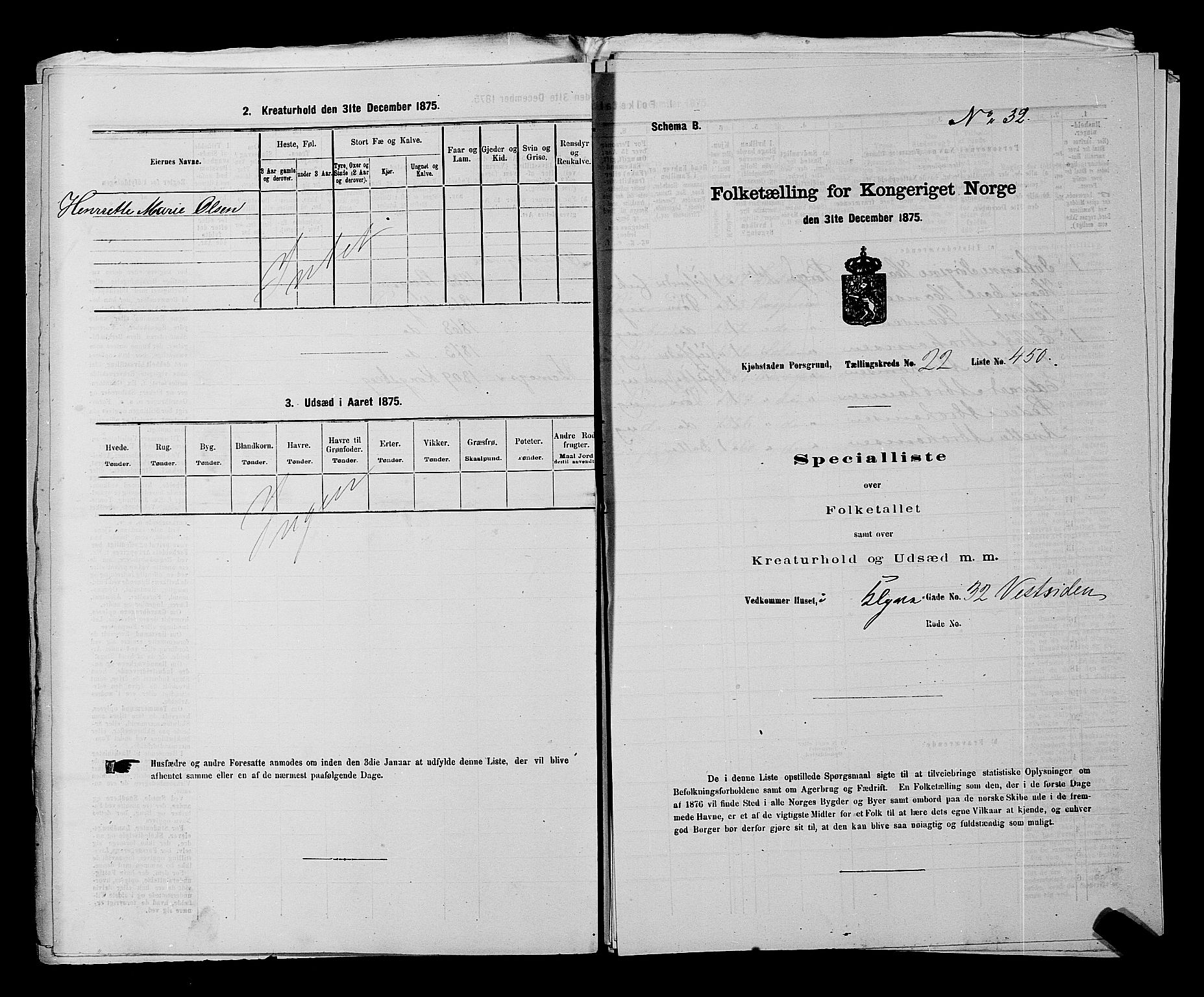 SAKO, 1875 census for 0805P Porsgrunn, 1875, p. 1009