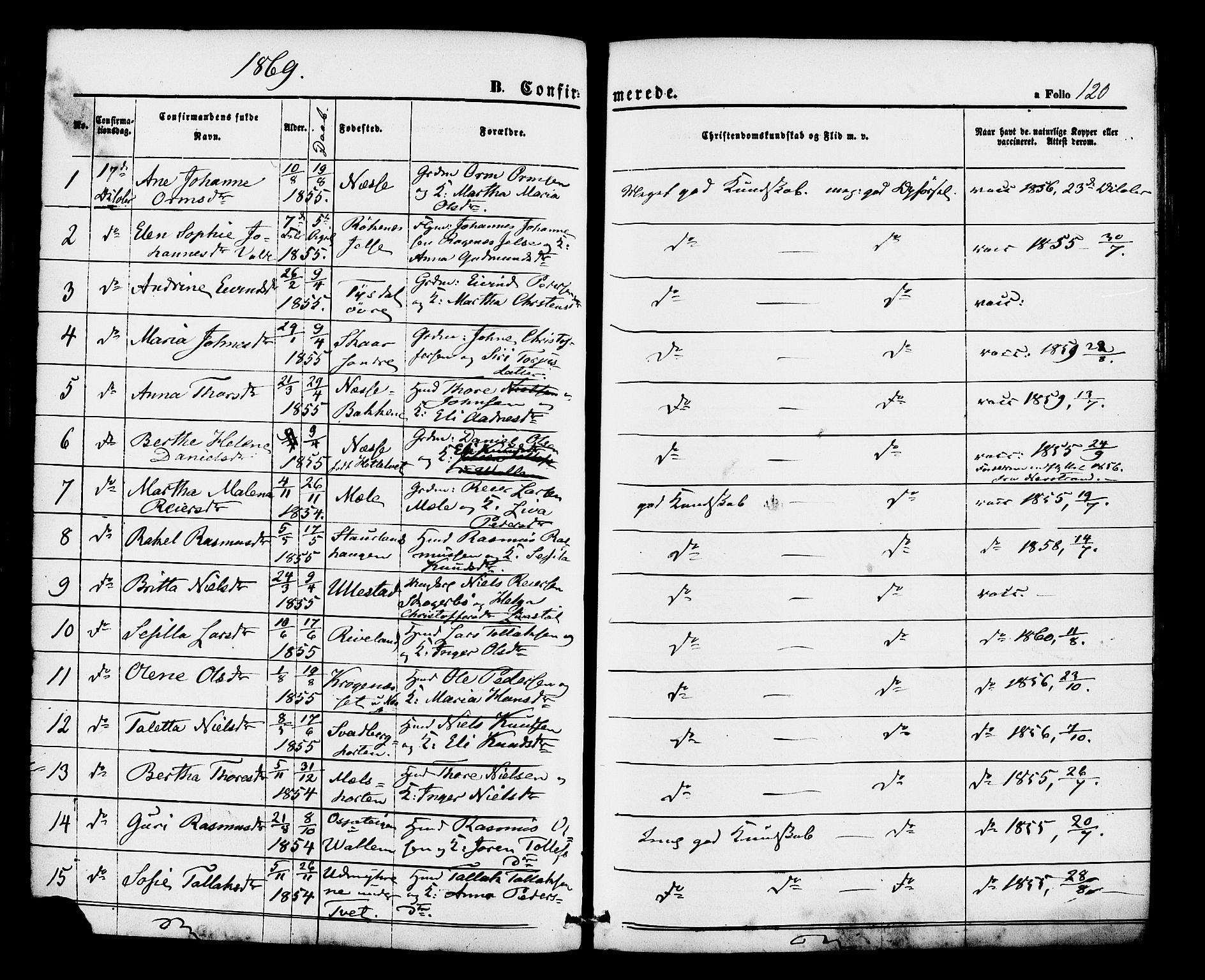 Hjelmeland sokneprestkontor, AV/SAST-A-101843/01/IV/L0012: Parish register (official) no. A 12, 1862-1886, p. 120