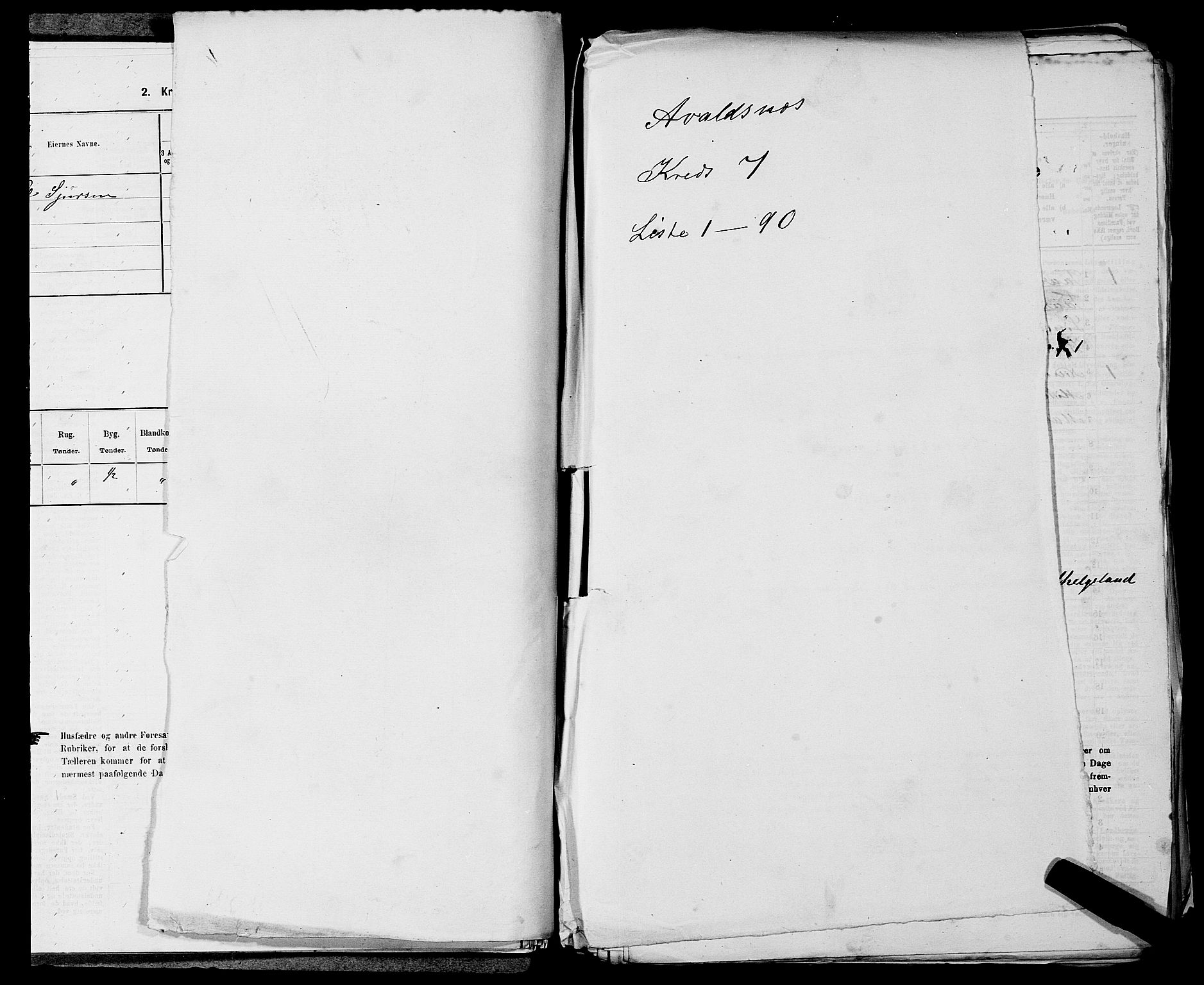 SAST, 1875 census for 1147L Avaldsnes/Avaldsnes og Kopervik, 1875, p. 1101