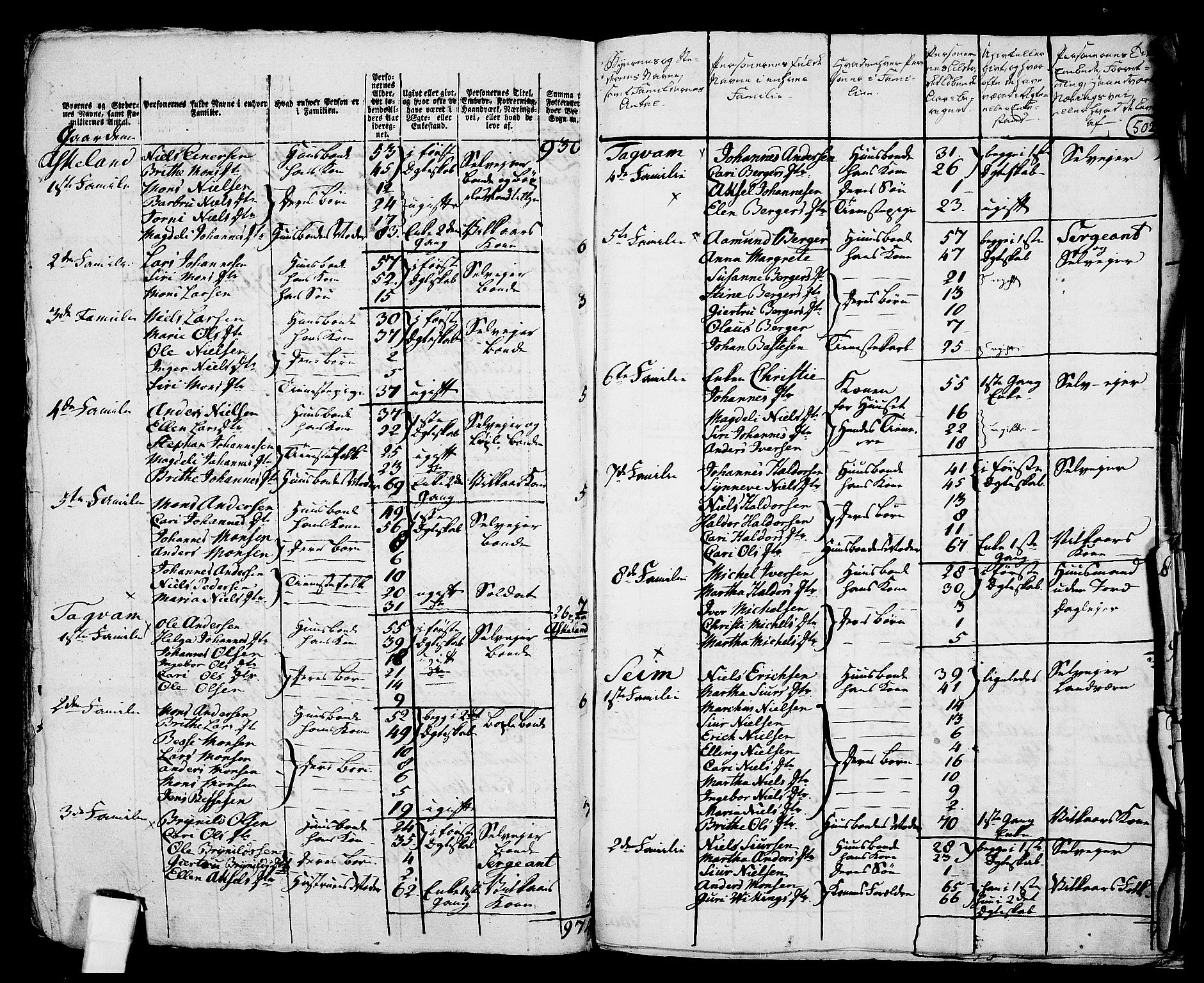 RA, 1801 census for 1250P Haus, 1801, p. 501b-502a