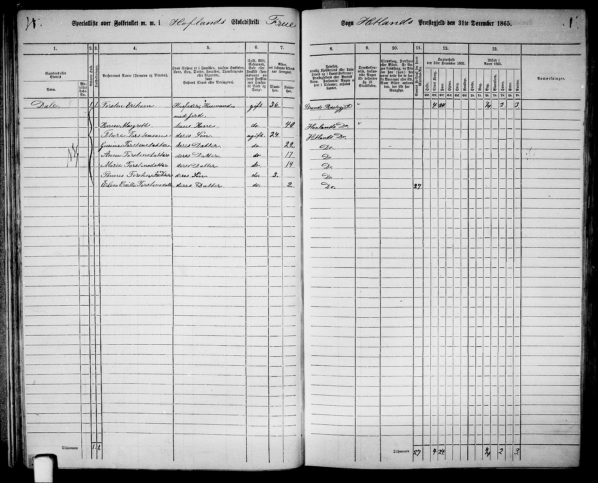 RA, 1865 census for Hetland, 1865, p. 35